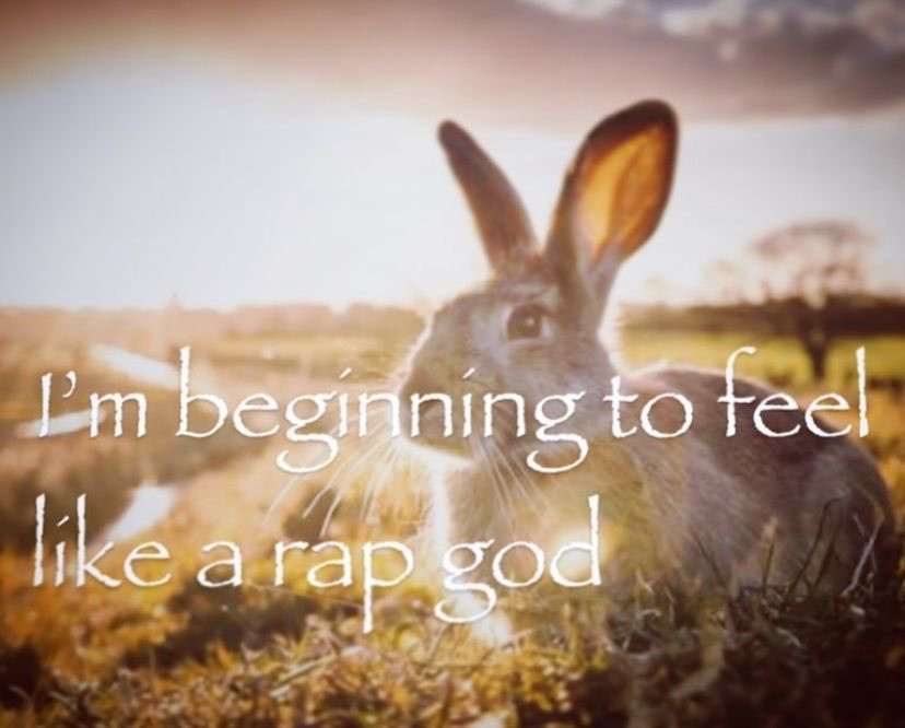 I'm beginning to  feel like a rap god