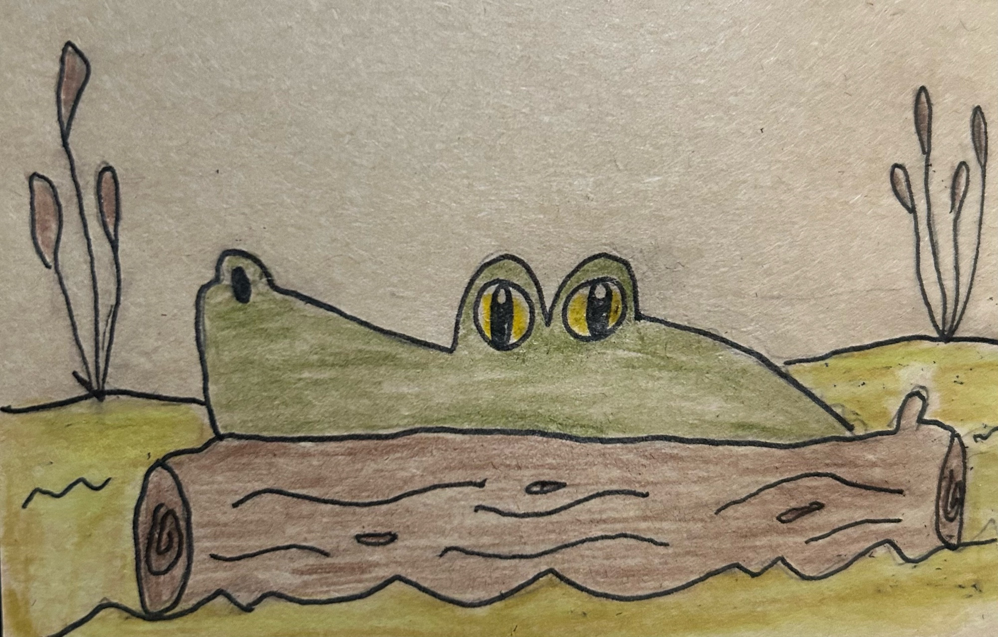 A colored pencil drawing of an alligator’s snout and eyes peeking out from behind a floating log in a swamp with cattails. 