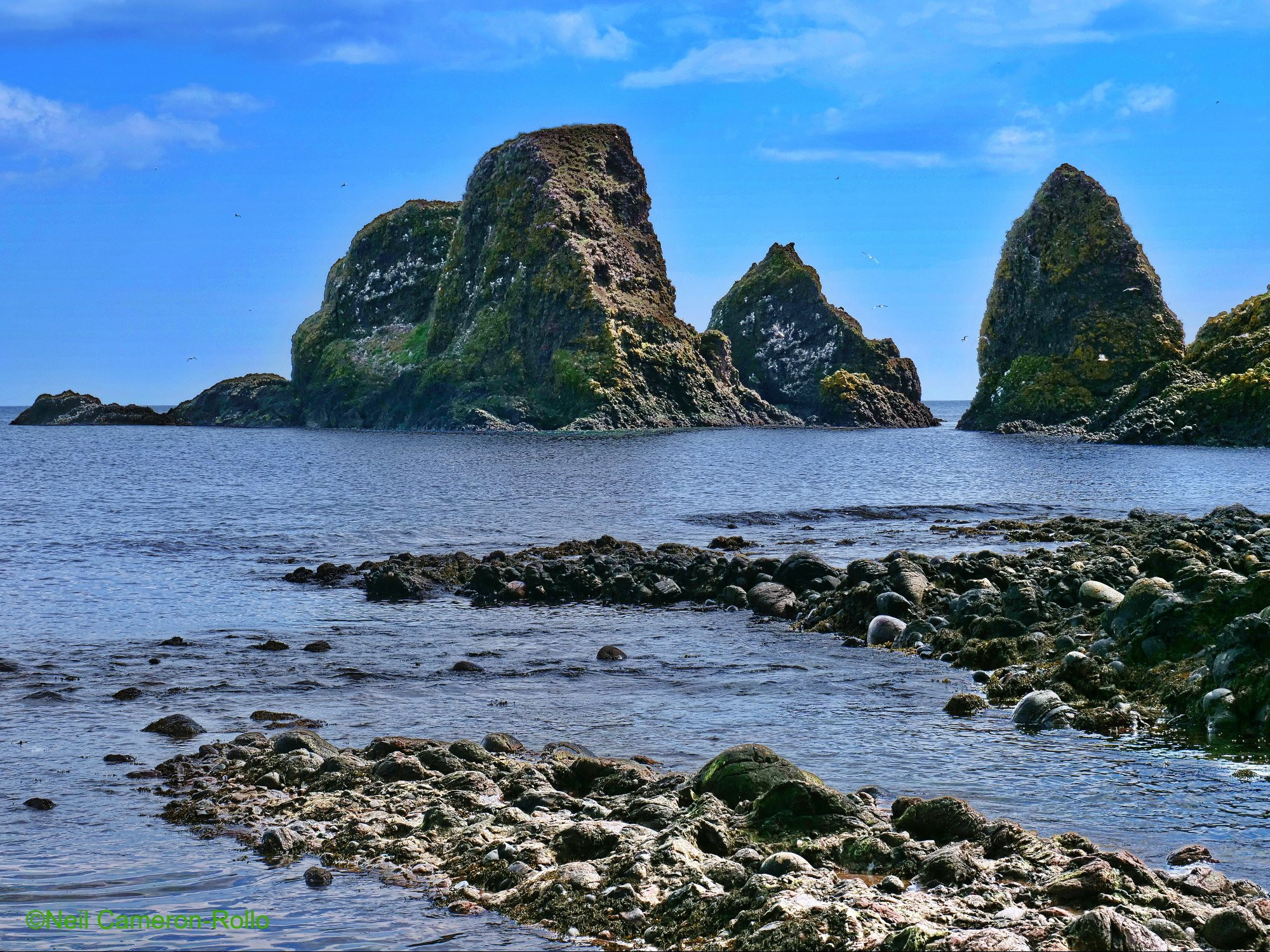 Taken on the beach below the castle, pointing towards the South East. Jagged islets at the end of the peninsula the castle occupies rise 20-30m from the calm waters of the bay. The steel blue waters of the bay lap against the rocky shoreline beneath a milky blue sky. Seabirds are in the air circling around their colony on the cliffs of the largest islet.