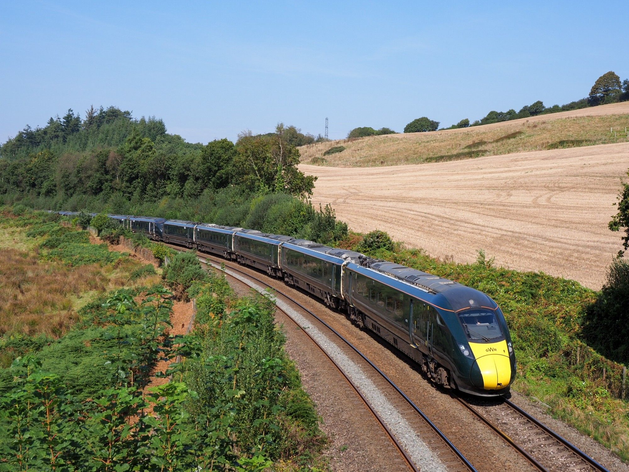 A 2x5 cars IET with its modern design sweeps through a curve in the green countryside. The back of the train is hidden by bushes.