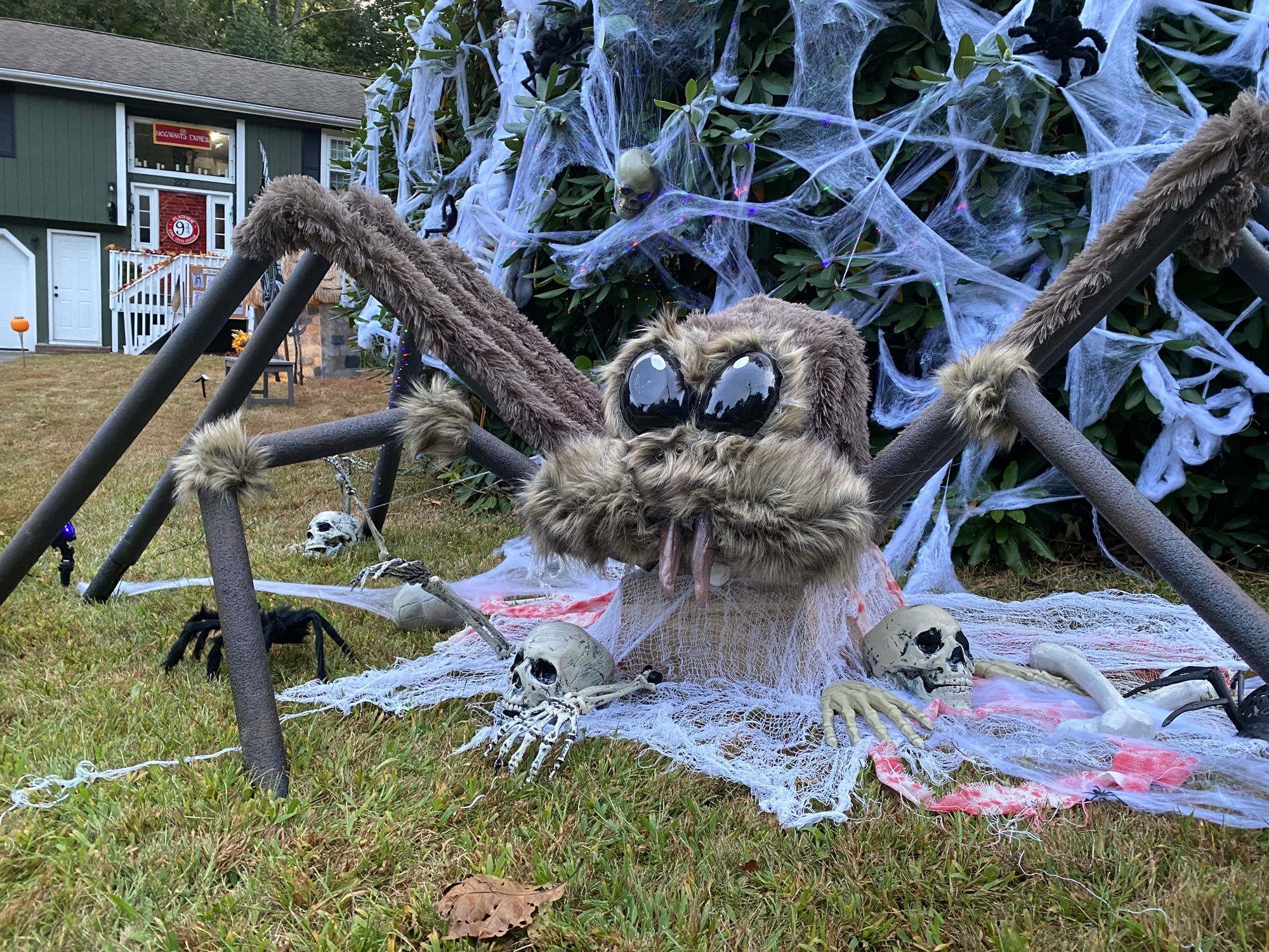 A Halloween decoration Harry Potter themed giant spider with cobwebs and skeletons