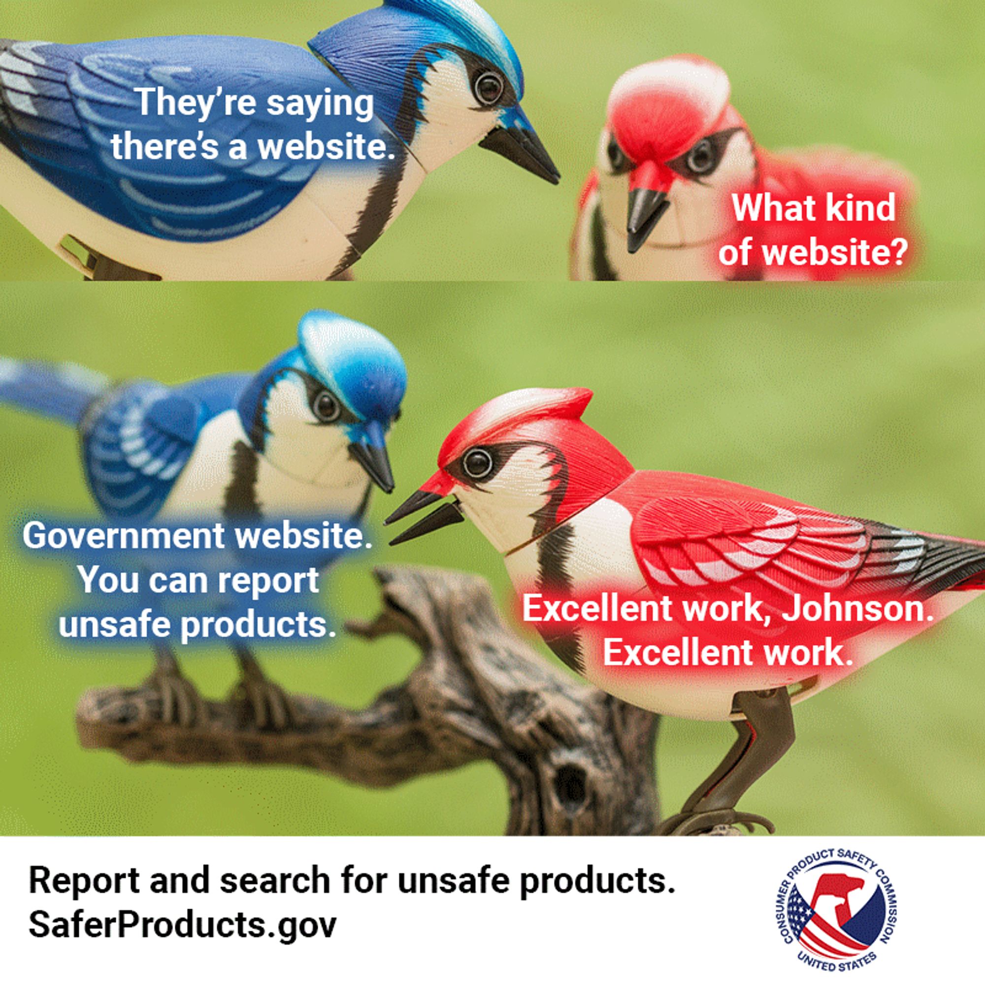 Top panel, a blue bird tells a red bird, "They're saying there's a website."  Red bird replies, "What kind of website?"  Bottom panel, a blue bird tells a red bird, "Government website.  You can report unsafe products."  The red bird replies "Excellent work, Johnson.  Excellent work."