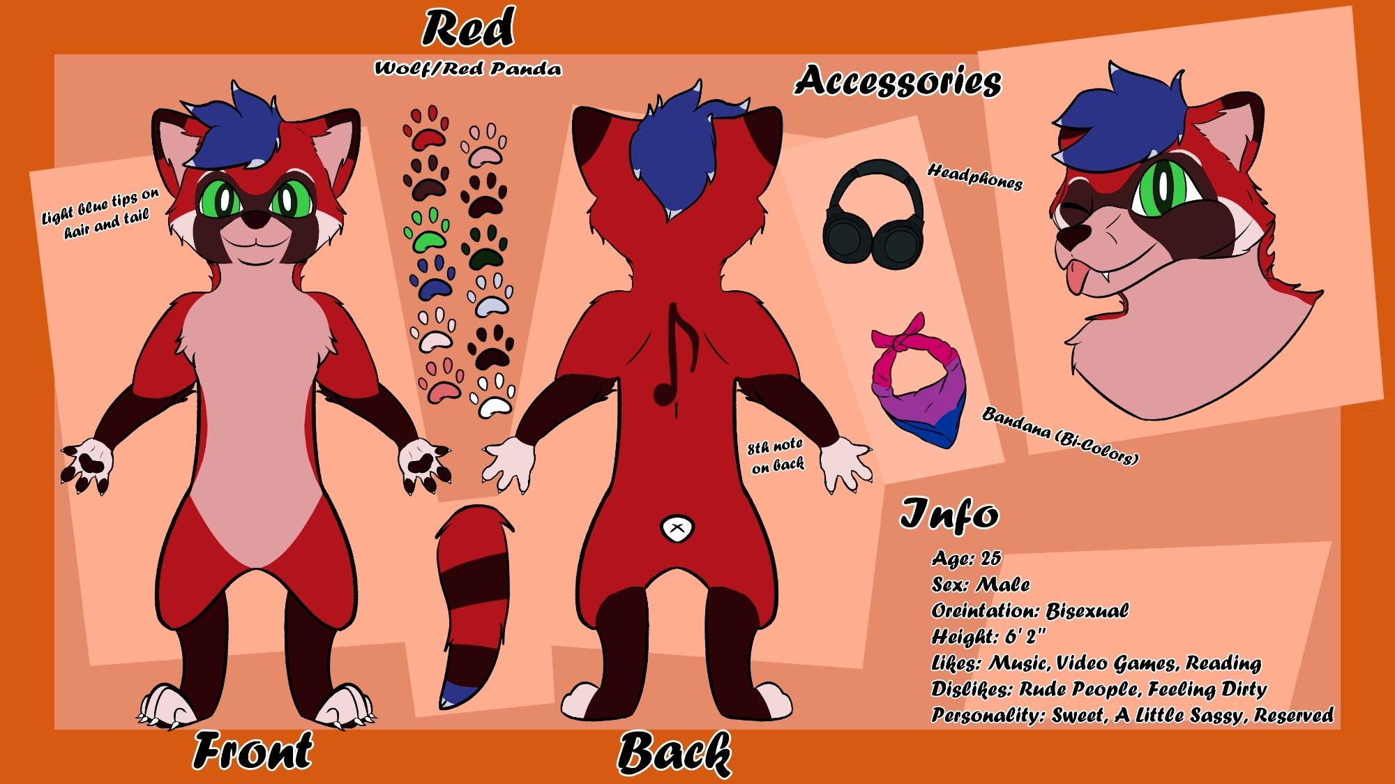 Character reference sheet red panda x wolf hybrid