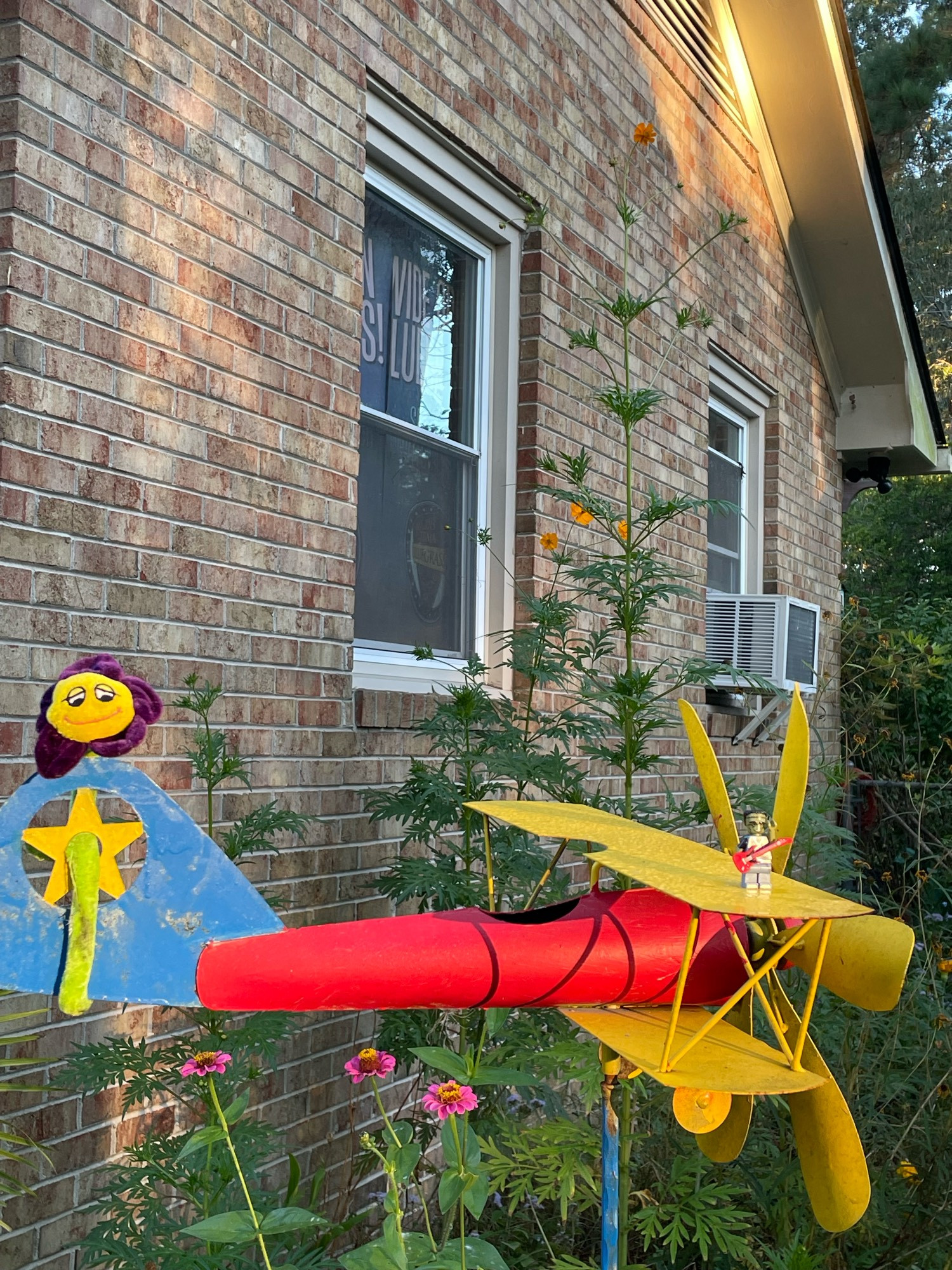 An yellow,red,blue biplane whirligig with a cotton purple and yellow  flower on the rudder, and Frankenlego on top wing in the foreground. Behind the whirligig is a 8 foot sulphur cosmos ready to burst into bloom. 