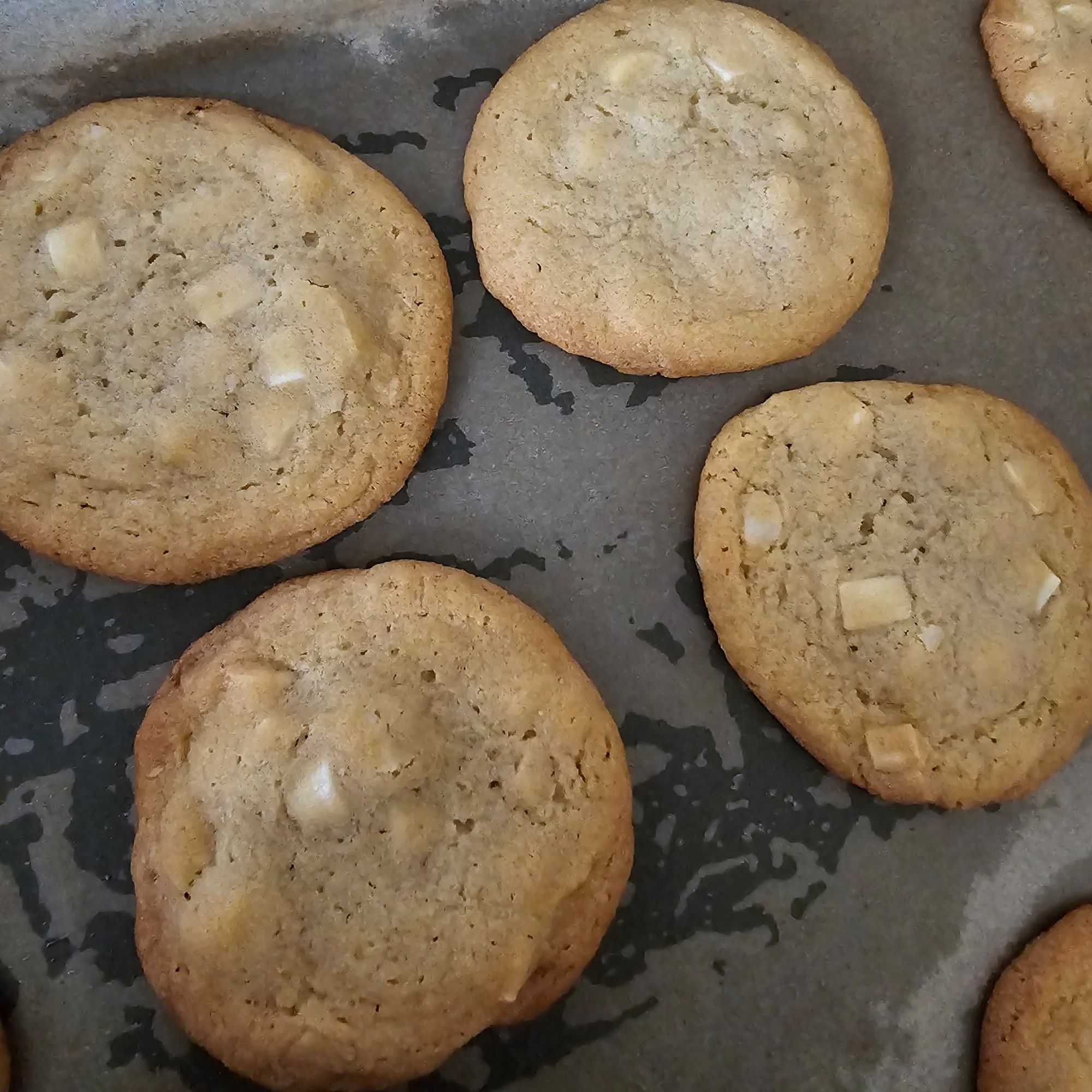 4 Cookies mit weißer Schokolade und Macadamianüssen auf einem Backblech