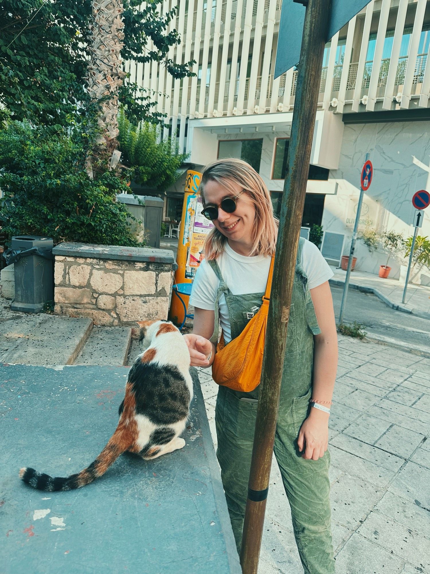 maisie petting a stray cat on a city corner