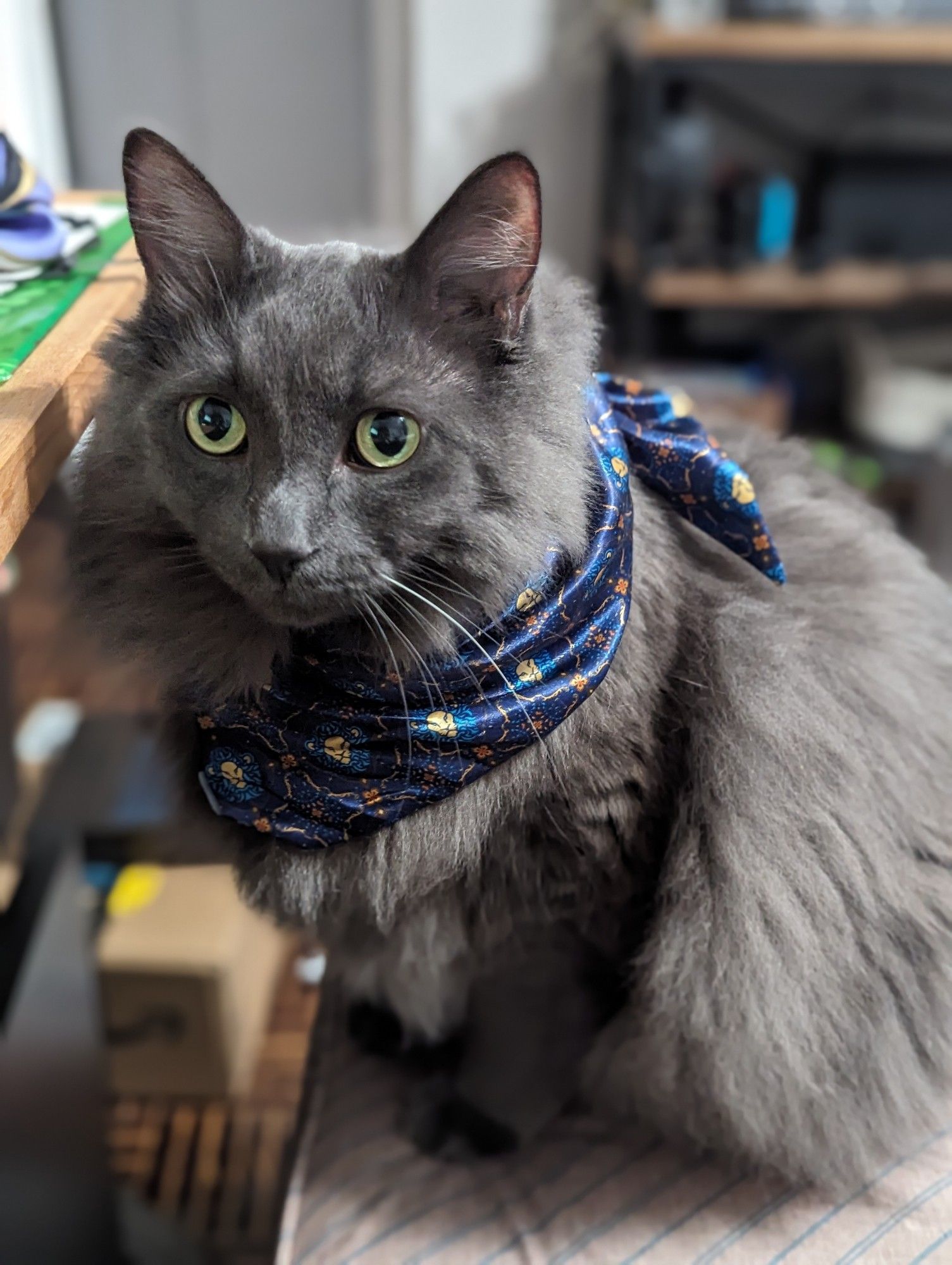 Garbo wearing a scarf