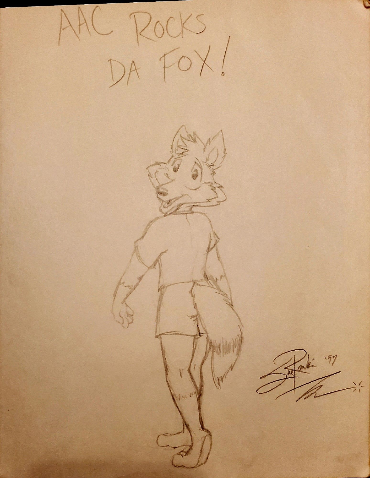 Sketchbook drawing of an anthro fox (Aerofox) walking away from the viewer with his head turned back to look at the viewer with a happy expression. Caption is "AAC Rocks da Fox!" By Sue Rankin 97