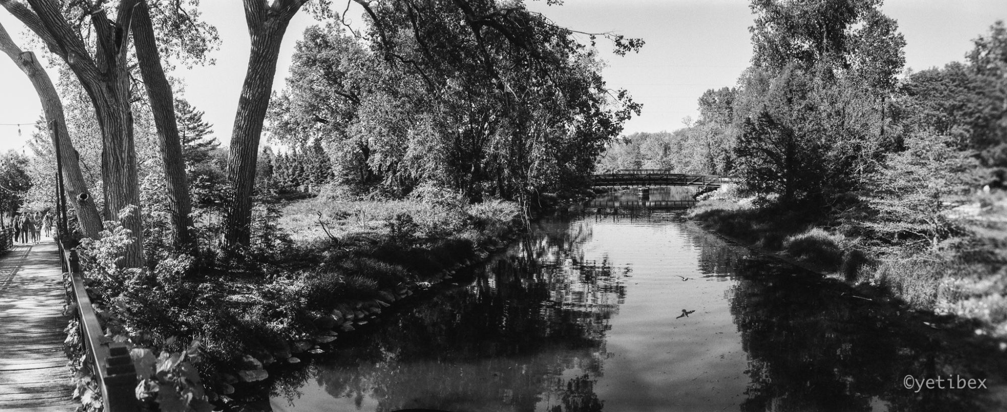 A black and white panoramic image. The bridge upon which the photographer is standing is seen on the far left; a river flows into the distance towards another footbridge. The grounds of the botanical gardens make up the rest of the image.