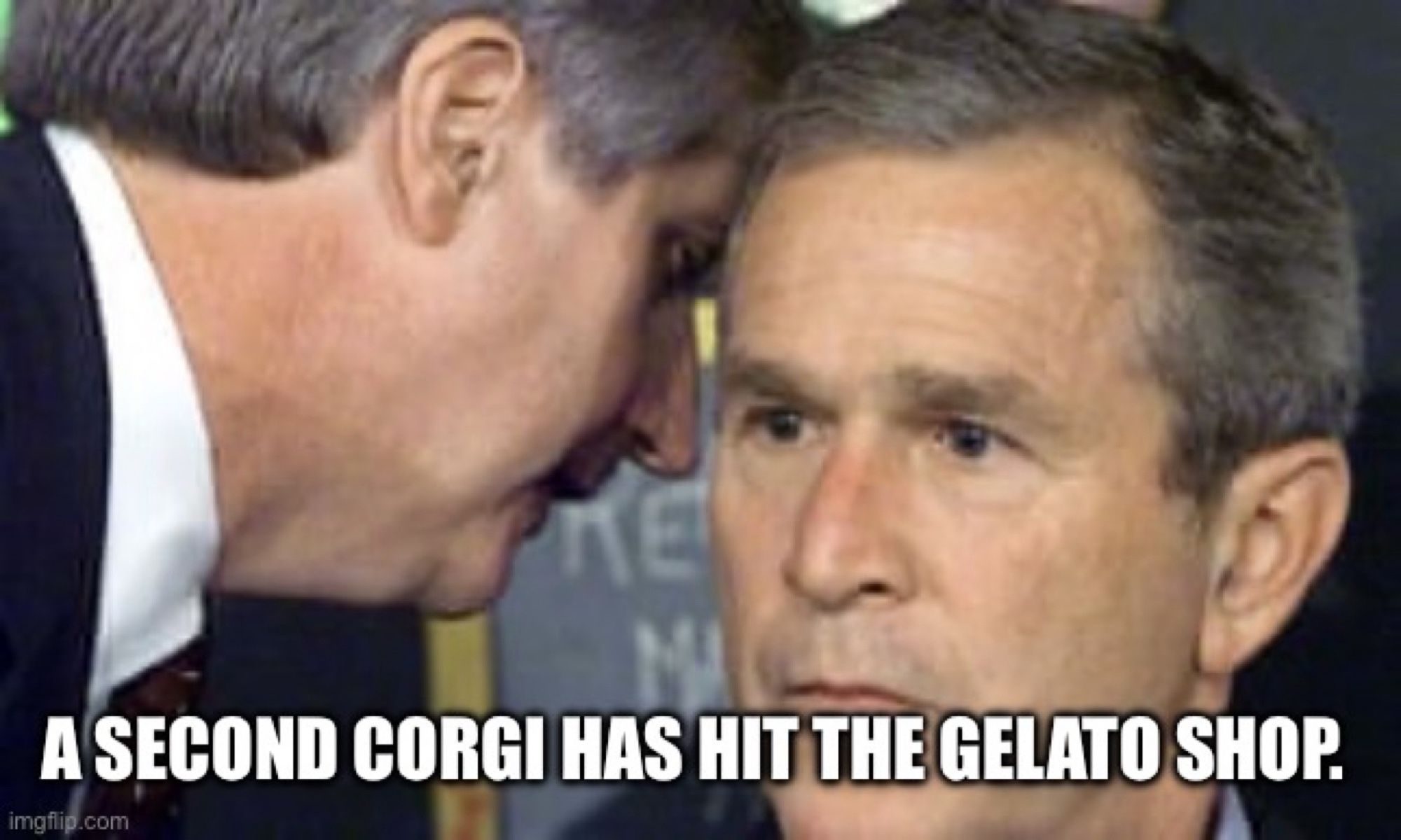 George W Bush hearing from his staffer:
“A second corgi has hit the gelato shop”