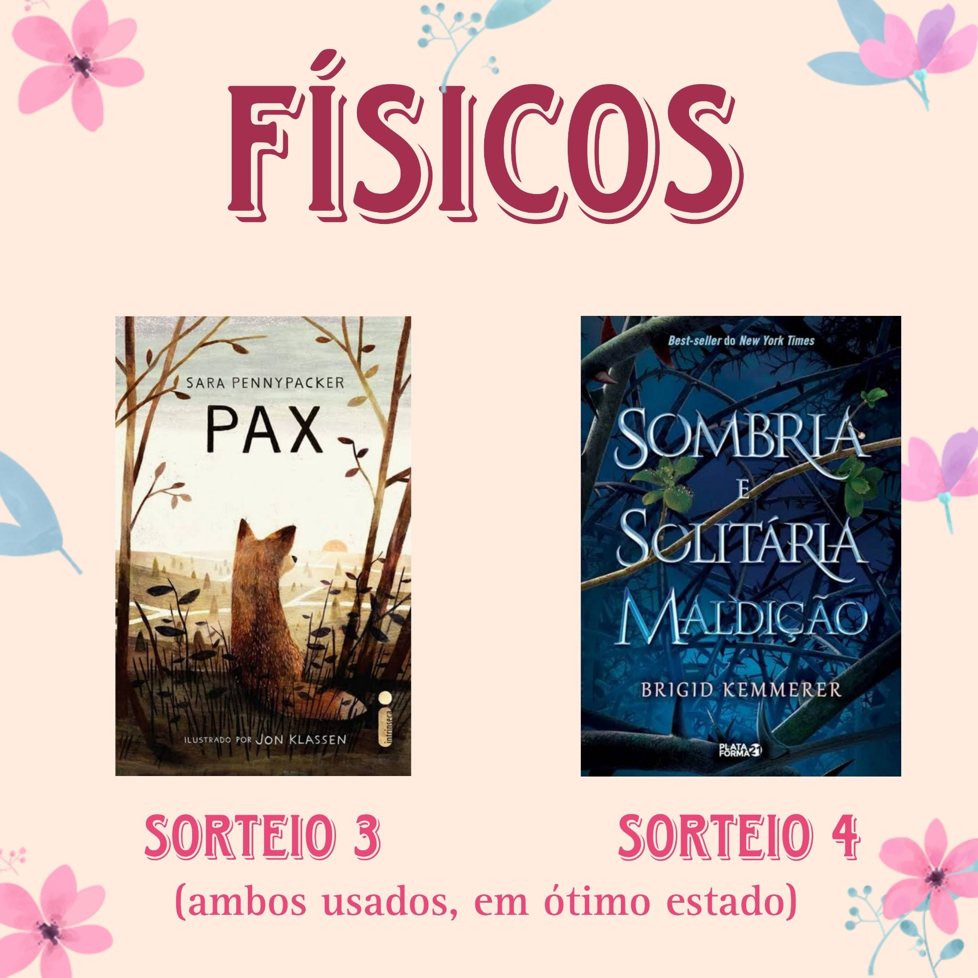 Prêmios em livros físicos:

Sorteio 3: livro Pax, de Sara Pennypacker

Sorteio 4: livro Sombria e Solitária Maldição, de Brigid Kemmerer

(ambos usados, em ótimo estado)