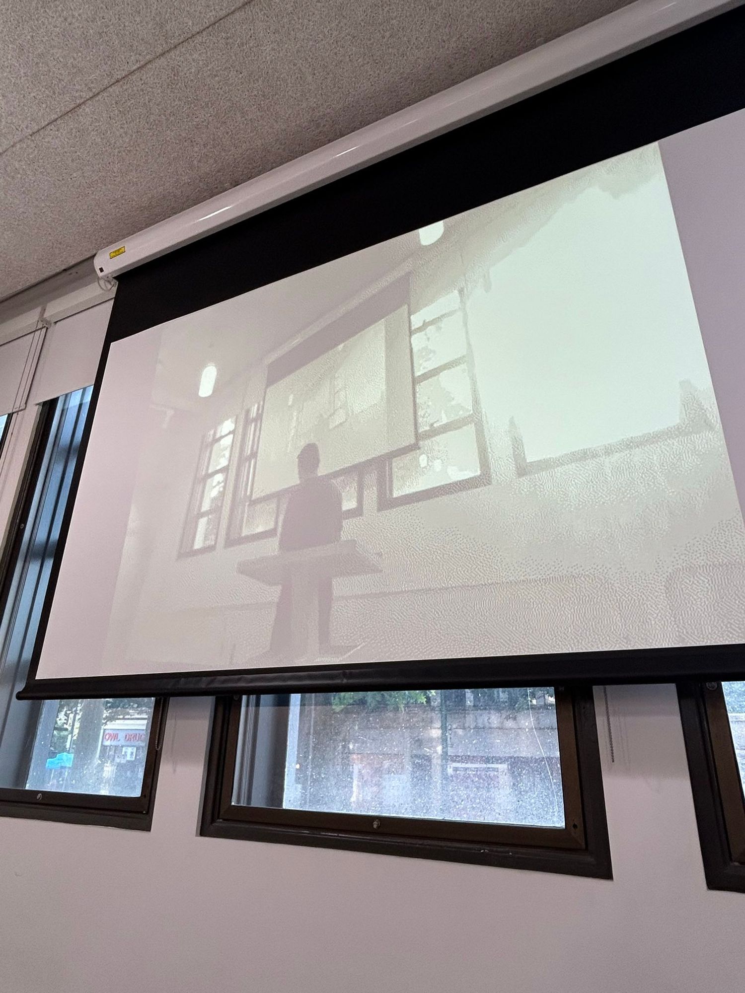 Projector screen with a black and grey image on it.