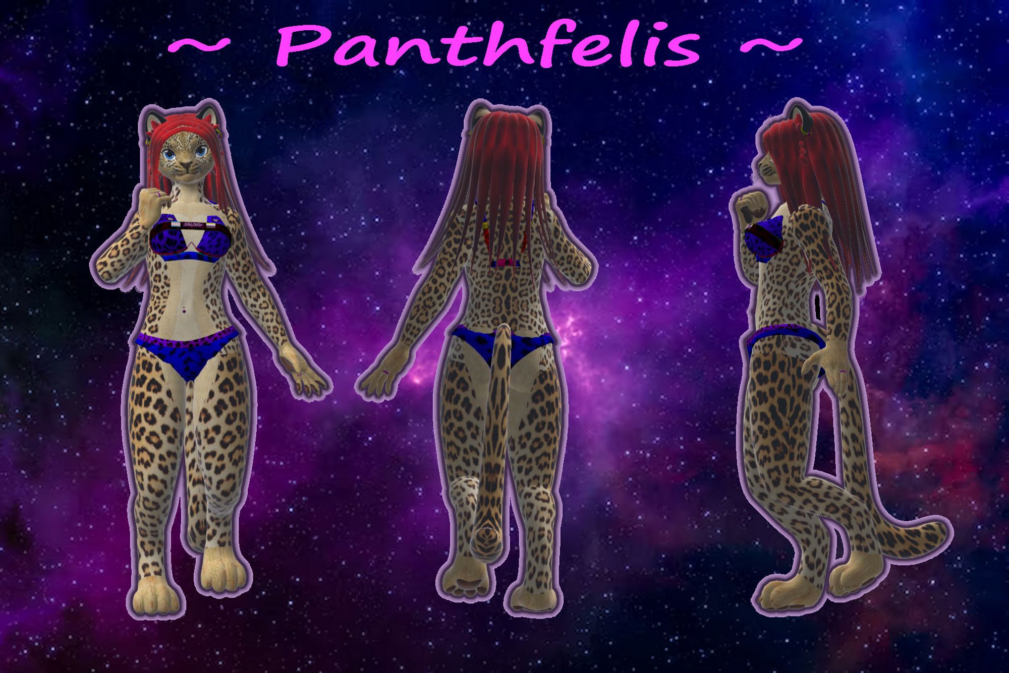 Front Rear and Left side view of Panthfelis~