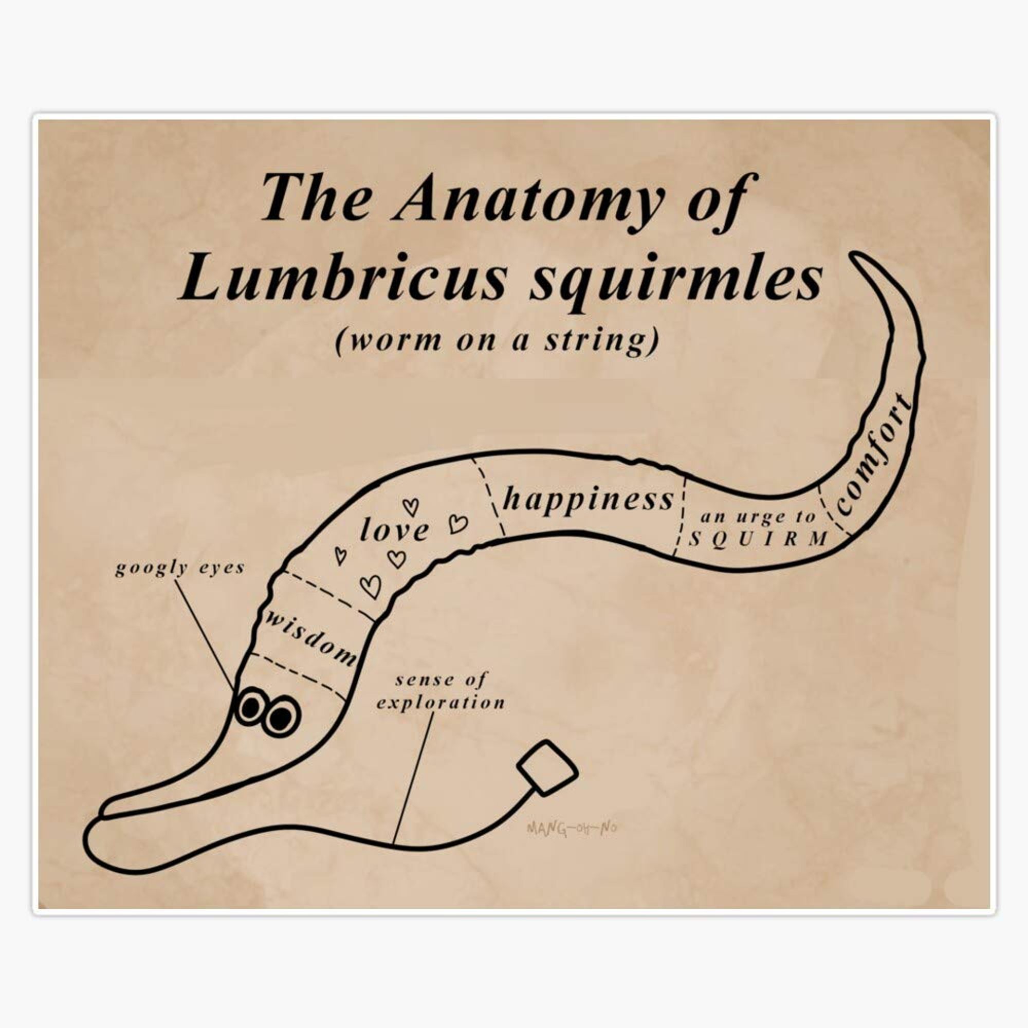 The Anatomy of Lumbricus squirmles (worm on a string)

A wormy shaped guy with labeled parts including:
Sense of exploration
Googly eyes
Wisdom
Love
Happiness
An urge to squirm
comfort