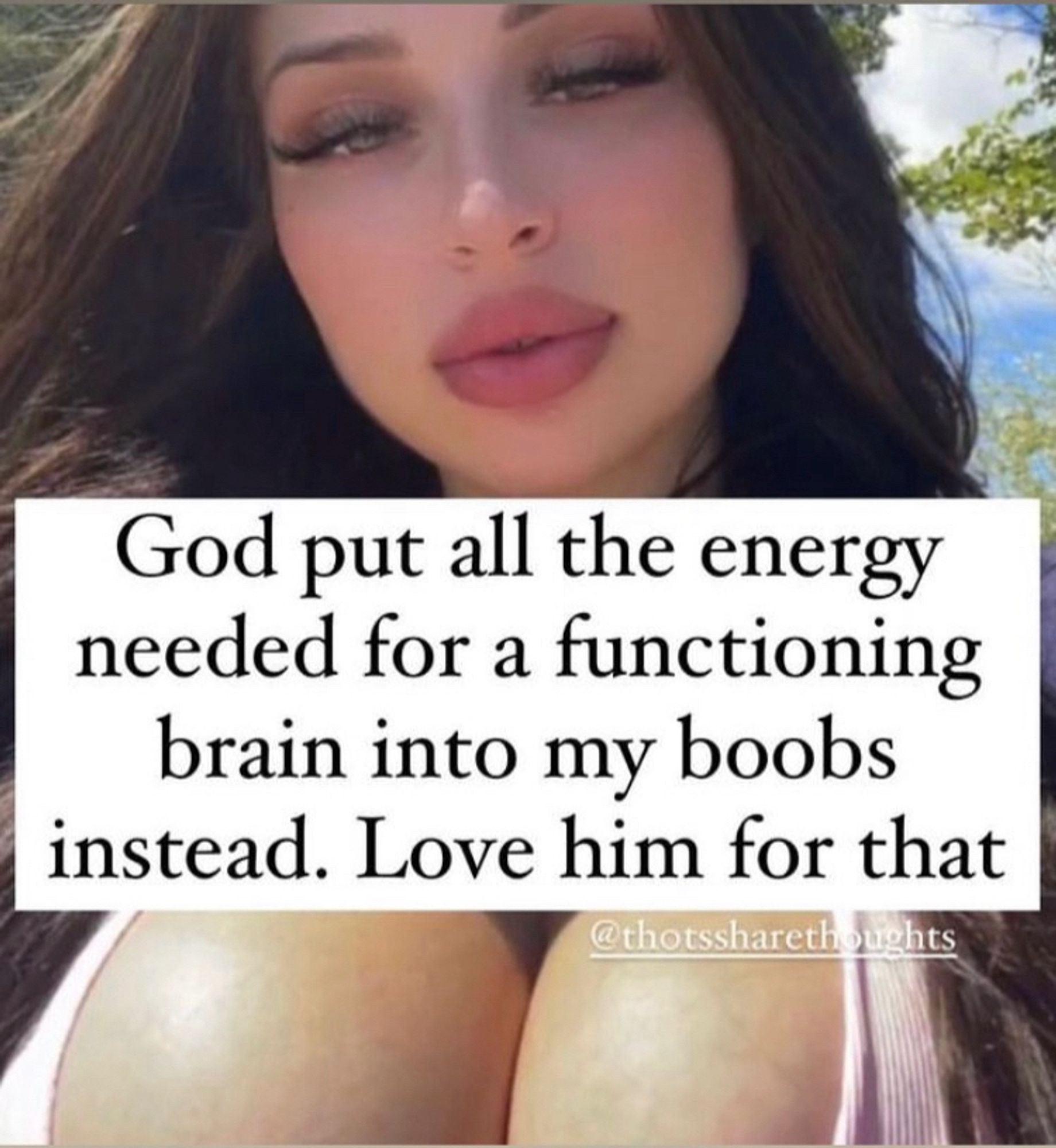 meme showing woman with incredibly big boobs and a text saying "god put all the energy needed for a functioning brain into my boobs instead. Love him for that"