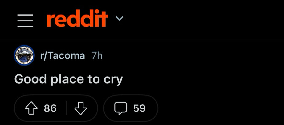 Reddit screenshot: 

r/Tacoma
Good place to cry
86 upvotes 59 comments