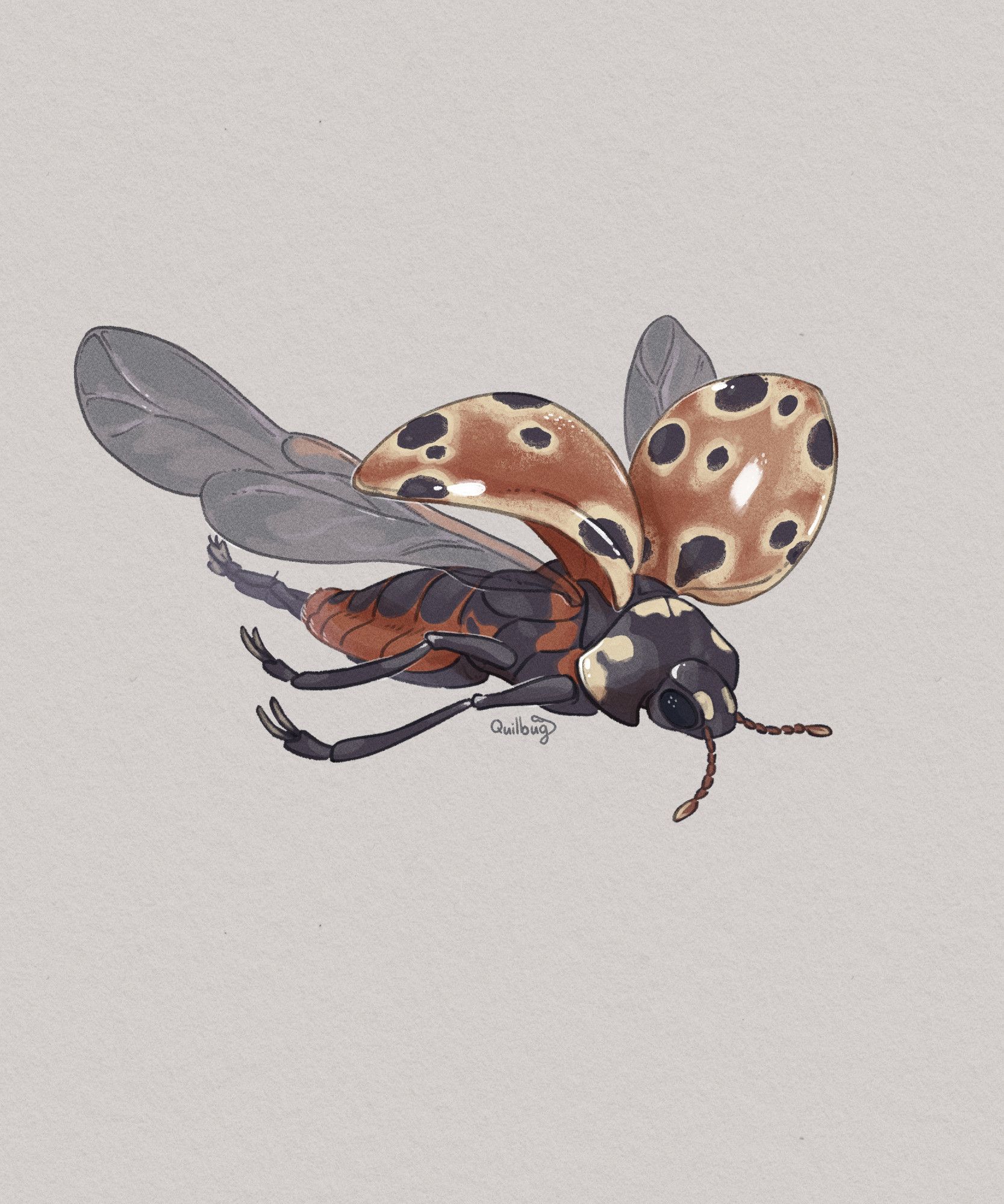 A digital drawing of an anthropomorphized eyed ladybug on an off-white background. The ladybug is midflight, with its elytra pulled back for its wings. Its two pairs of arms are beside its body, and its legs trail behind. It's elytra is a dusty red, and the black spots are surrounded by blotchy white. Its body is mainly black, with red marks along its side. It glides down in a downward slope.