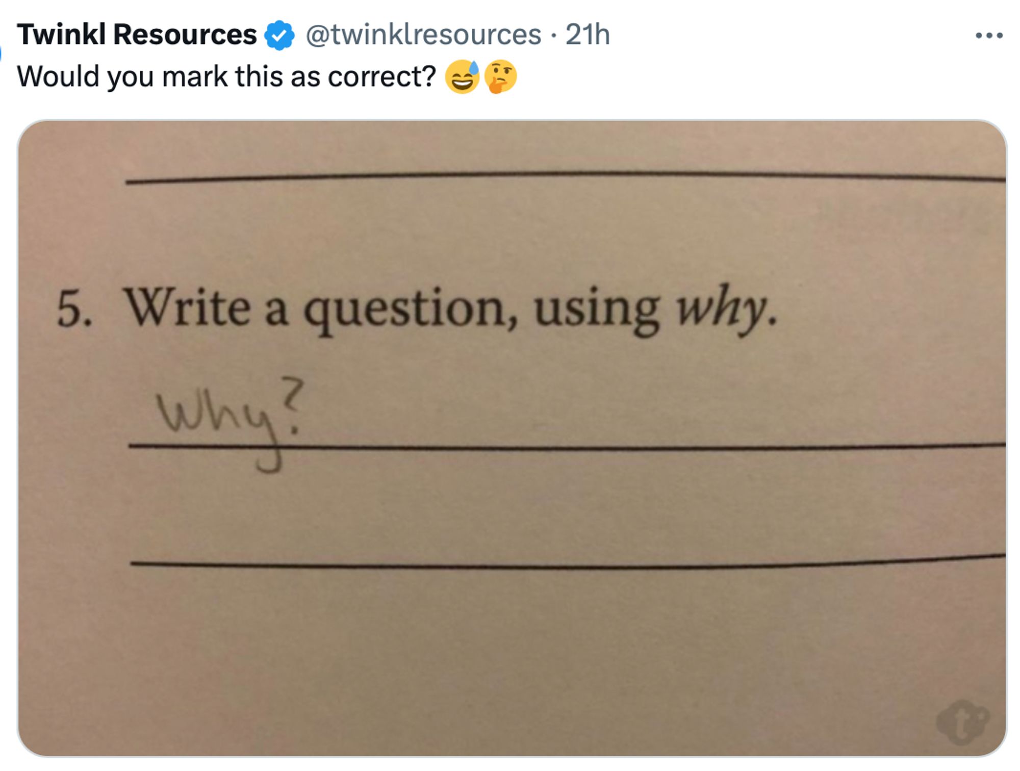 Screenshot of a social post by '@twinklresources' on the social platform 'X' that says: 'Would you mark this as correct? 😅🤔' Attached is a photo of schoolwork that asks the student: 'Write a question, using why.' In response, the student wrote, "why?"