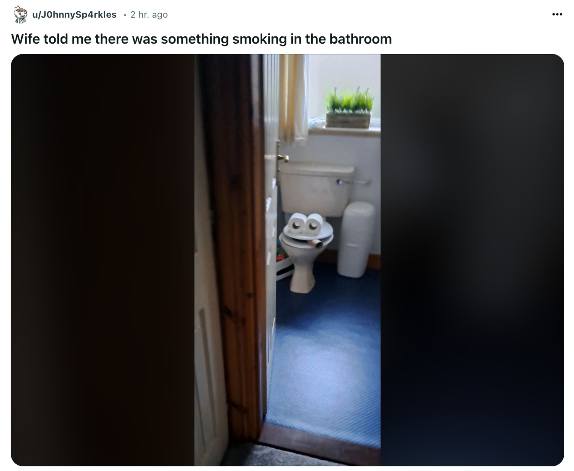 Screenshot of a Reddit post that says: 'Wife told me there was something smoking in the bathroom' Attached is a photo of a toilet with two toilet paper rolls placed on the lid to look like eyes, and an empty roll placed under the lid to look like a cigarette.