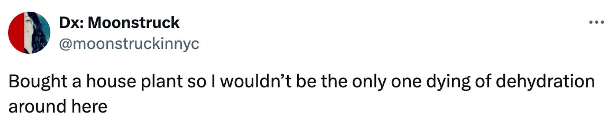  A social post from @moonstruckinnyc that says: Bought a house plant so I wouldn't be the only one dying of dehydration around here