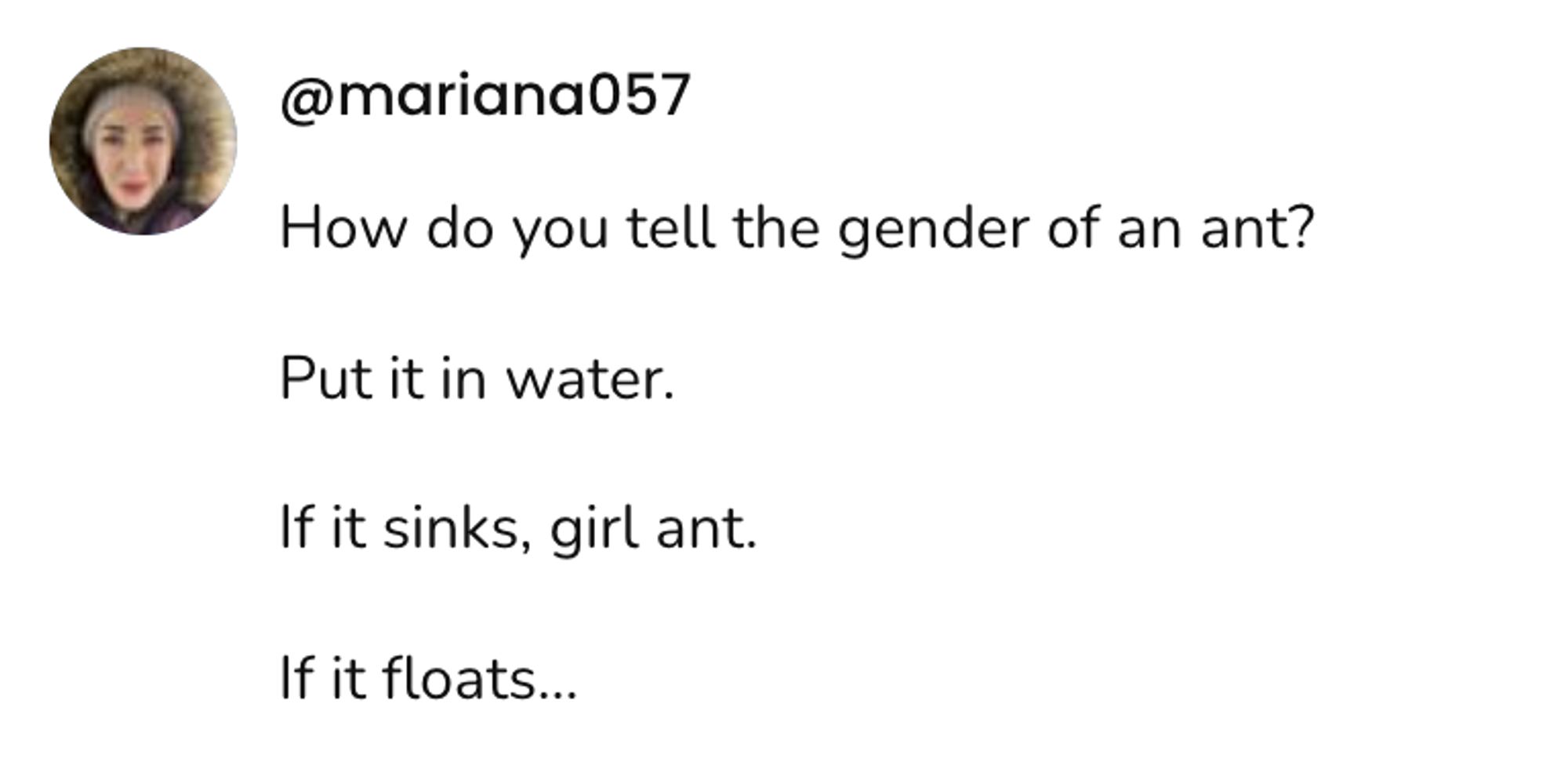 A social post from @mariana057 that says: How do you tell the gender of an ant? Put it in water. If it sinks, girl ant. If it floats...