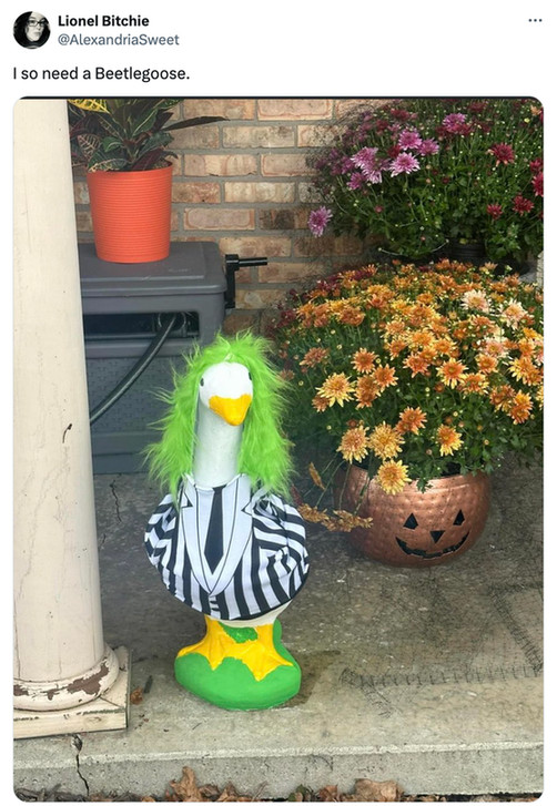  A social post from @AlexandriaSweet that says: I so need a Beetlegoose. [An image of a lawn statyue of a goose dressed like Beetlejuice from the movie Beetlejuice.]