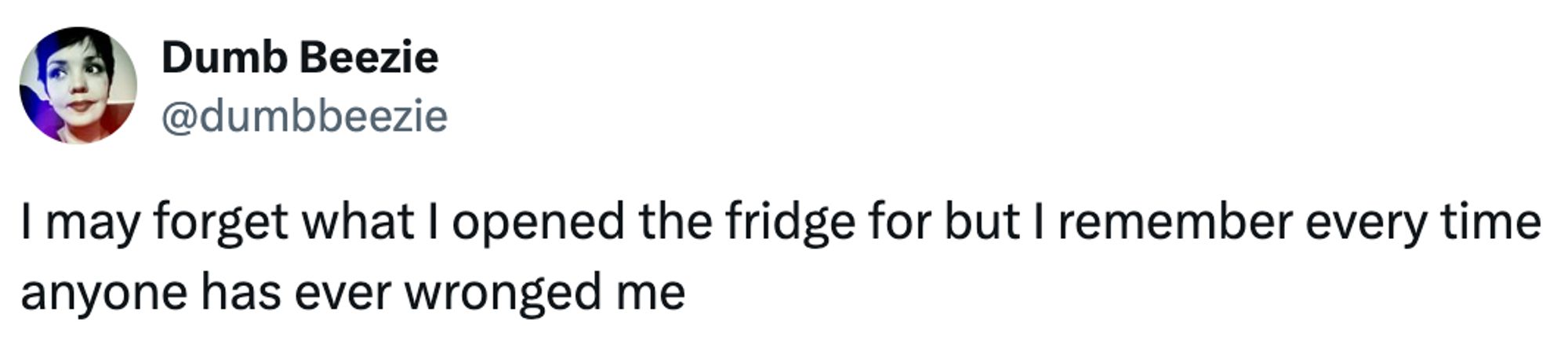  A social post from @dumbbeezie that says: I may forget what I opened the fridge for but I remember every time anyone has ever wronged me