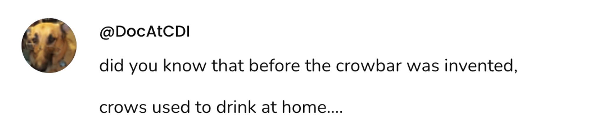  A social post from @DocAtCDI on Threads that says: did you know that before the crowbar was invented, crows used to drink at home....