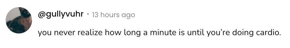 Screenshot of a social post by '@gullyvuhr' that says: 'you never realize how long a minute is until you're doing cardio'