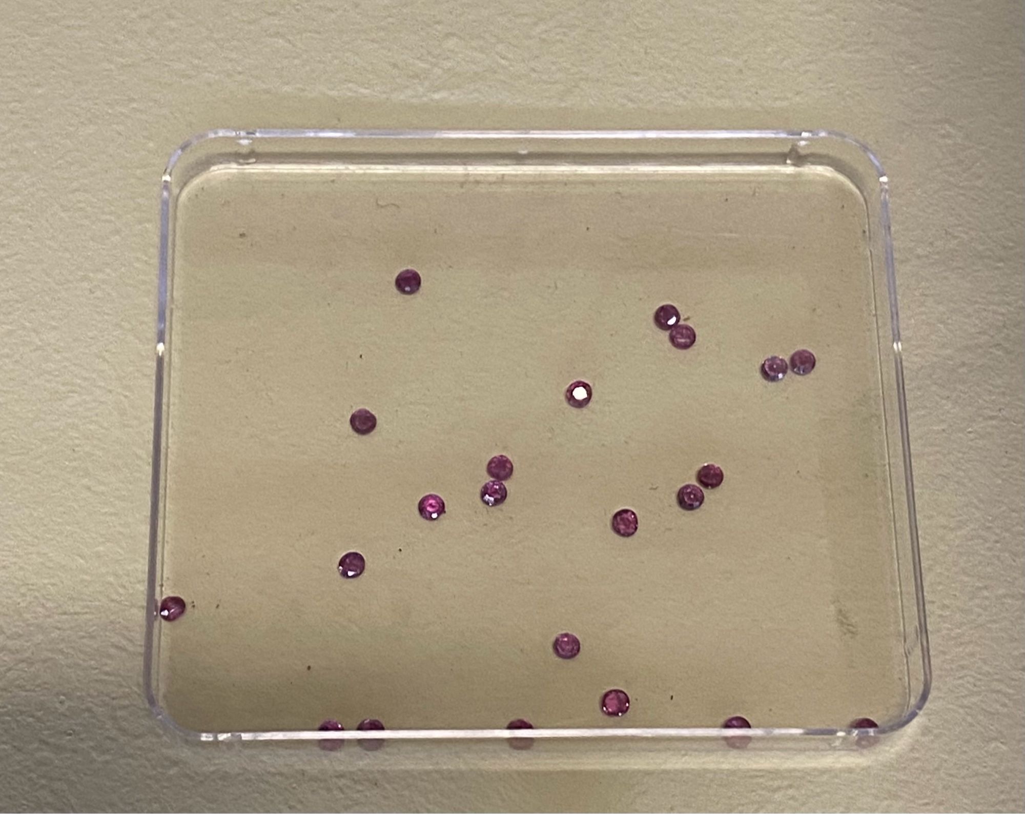 Tiny pinkish red round gems scattered across a rectangular clear plastic tray on a beige background. At the National Museum of Ireland.