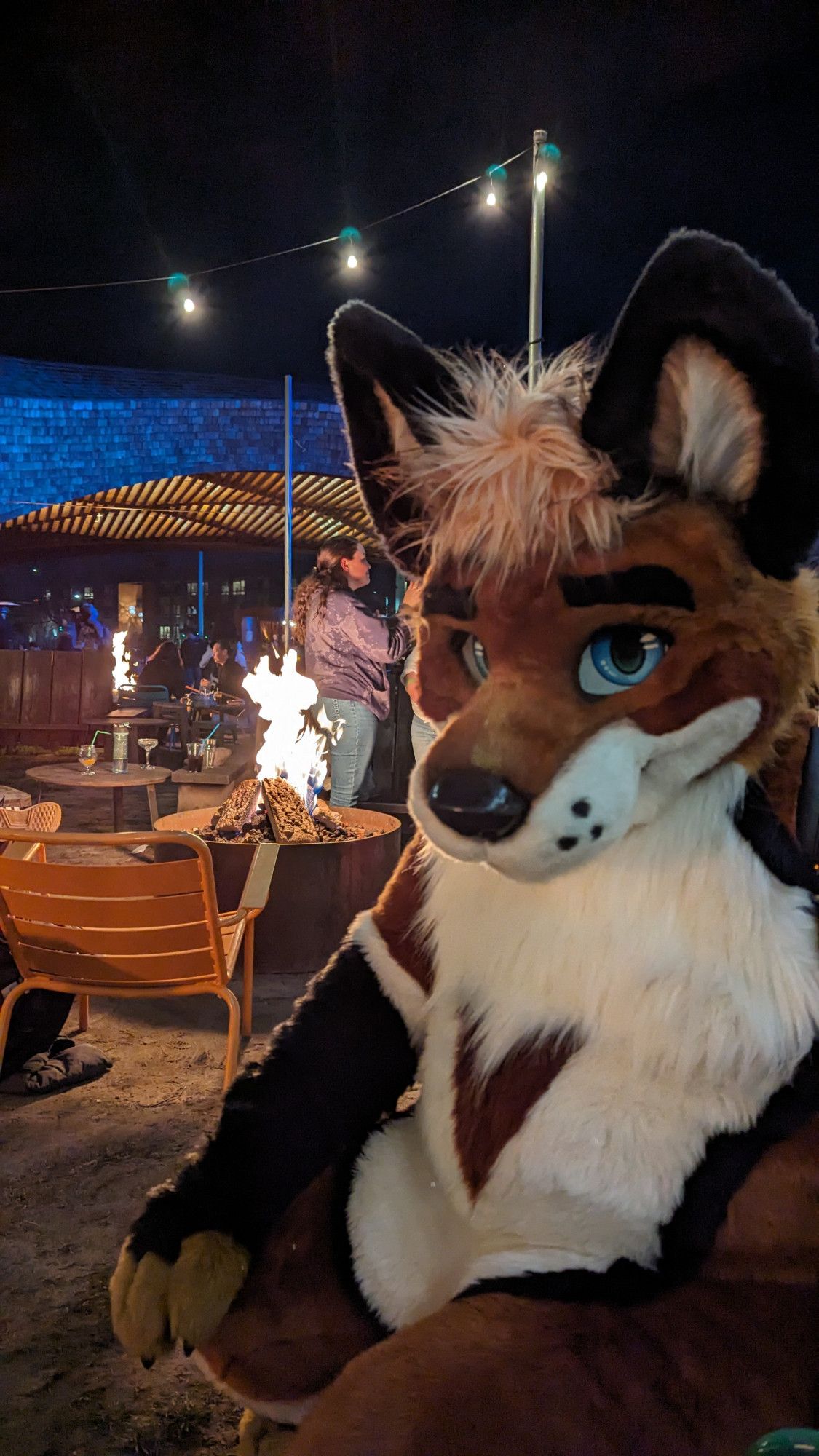 Night, outdoor beer garden. In the background: a blazing fire pit, various customers, tables, chairs, lights. Seated in the foreground is Traveler (natural-colored fox fursuiter with rust, white, and black fur and bright blue eyes)