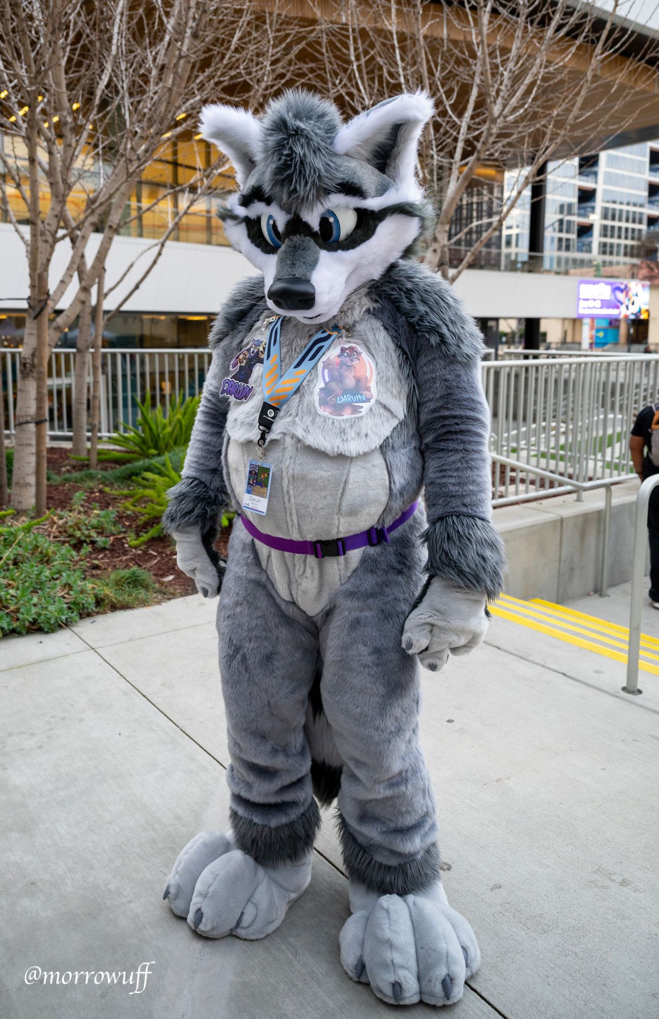 San Jose Convention Center, exterior. Photo of Daruin (gray raccoon fursuiter)