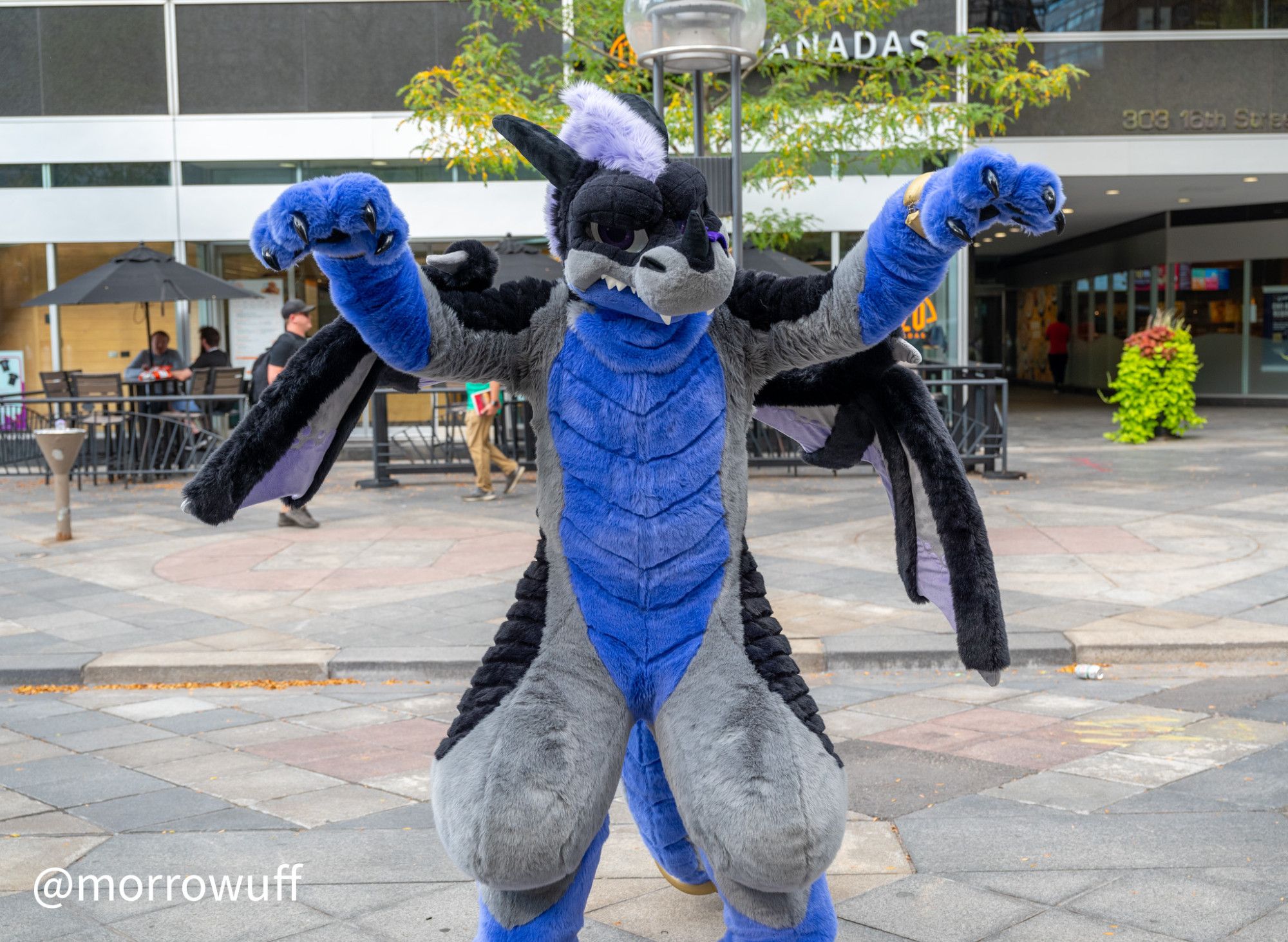 Street scene, downtown Denver. Photo of Darris (gray, black, and purple dragon fursuiter) in a mock-threatening pose.