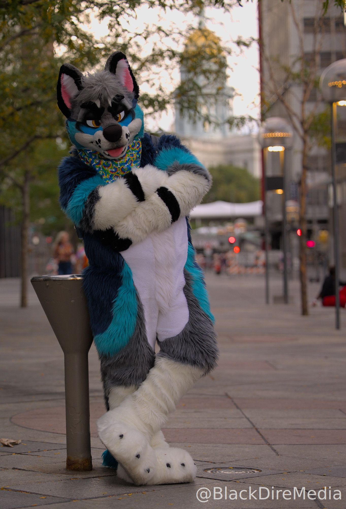 Downtown Denver street scene. Photo of Morro (blue, white, and gray canine fursuiter) leaning against a stanchion. In the background is the Colorado State Capitol.