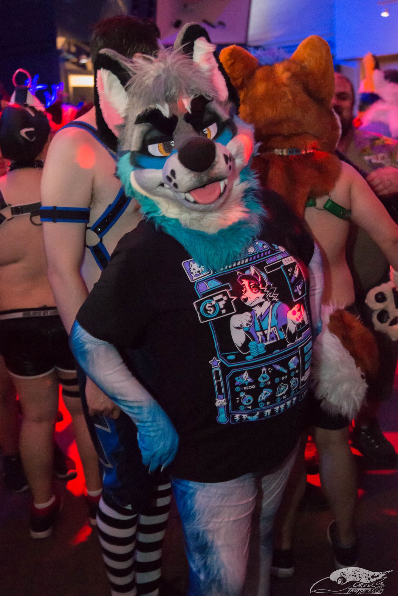 Crowded rave/dance party scene. Photo of Morro (blue, white, and gray canine fursuit) wearing fursuit head, blue and light gray petsuit, and a Nomad Complex t-shirt