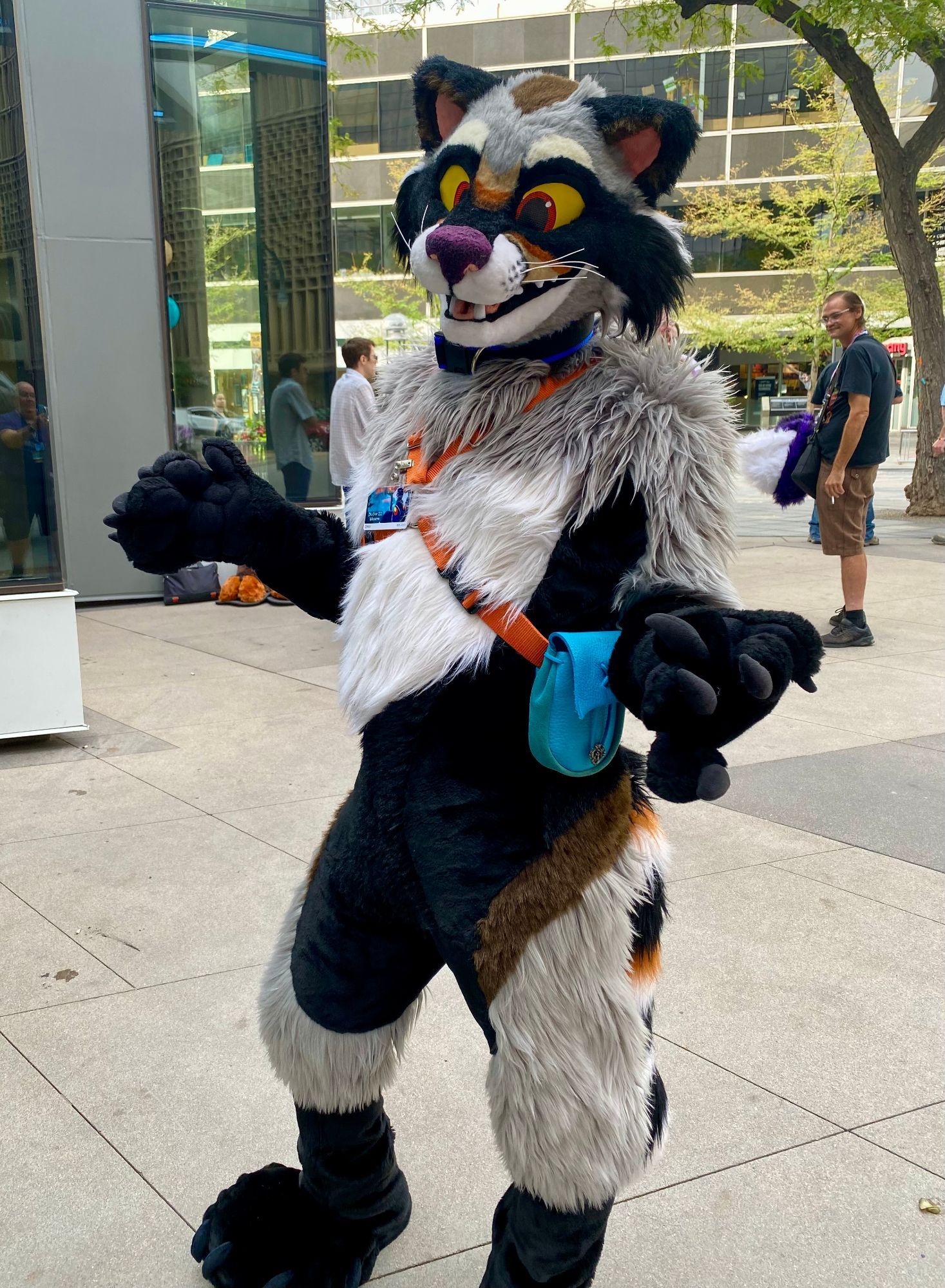 Downtown Denver, outside. Photo of Urbis (semi-realistic gray and black raccoon fursuiter with brown markings)