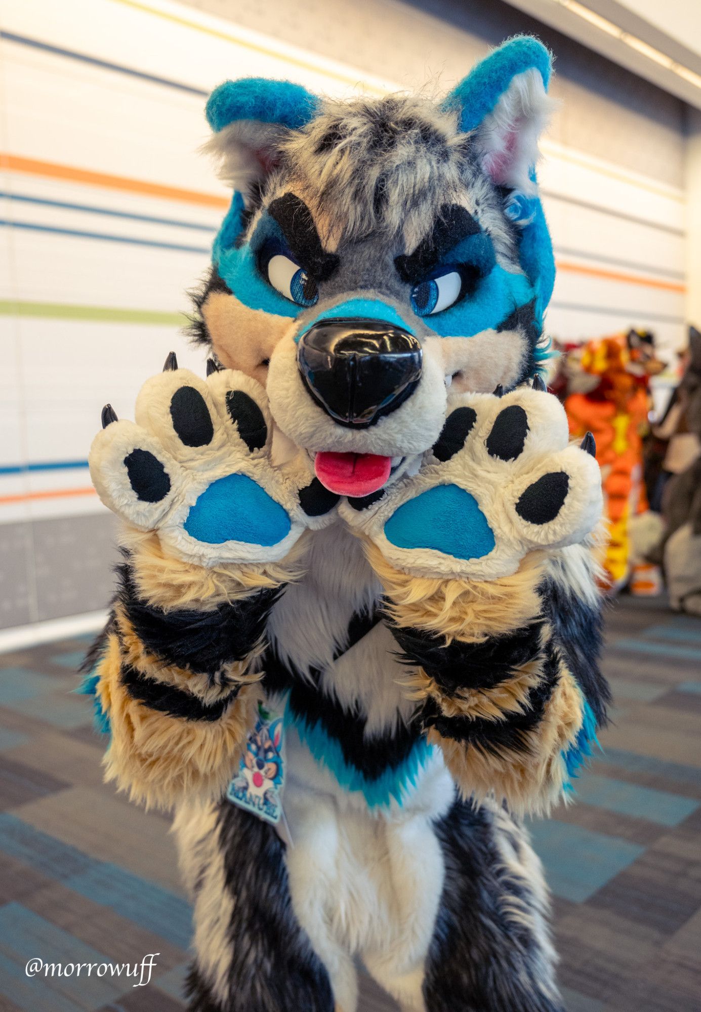 Interior, San Jose convention center. Photo of Manuel (white, tan, and blue canine fursuiter) displaying his handpaws to the camera.