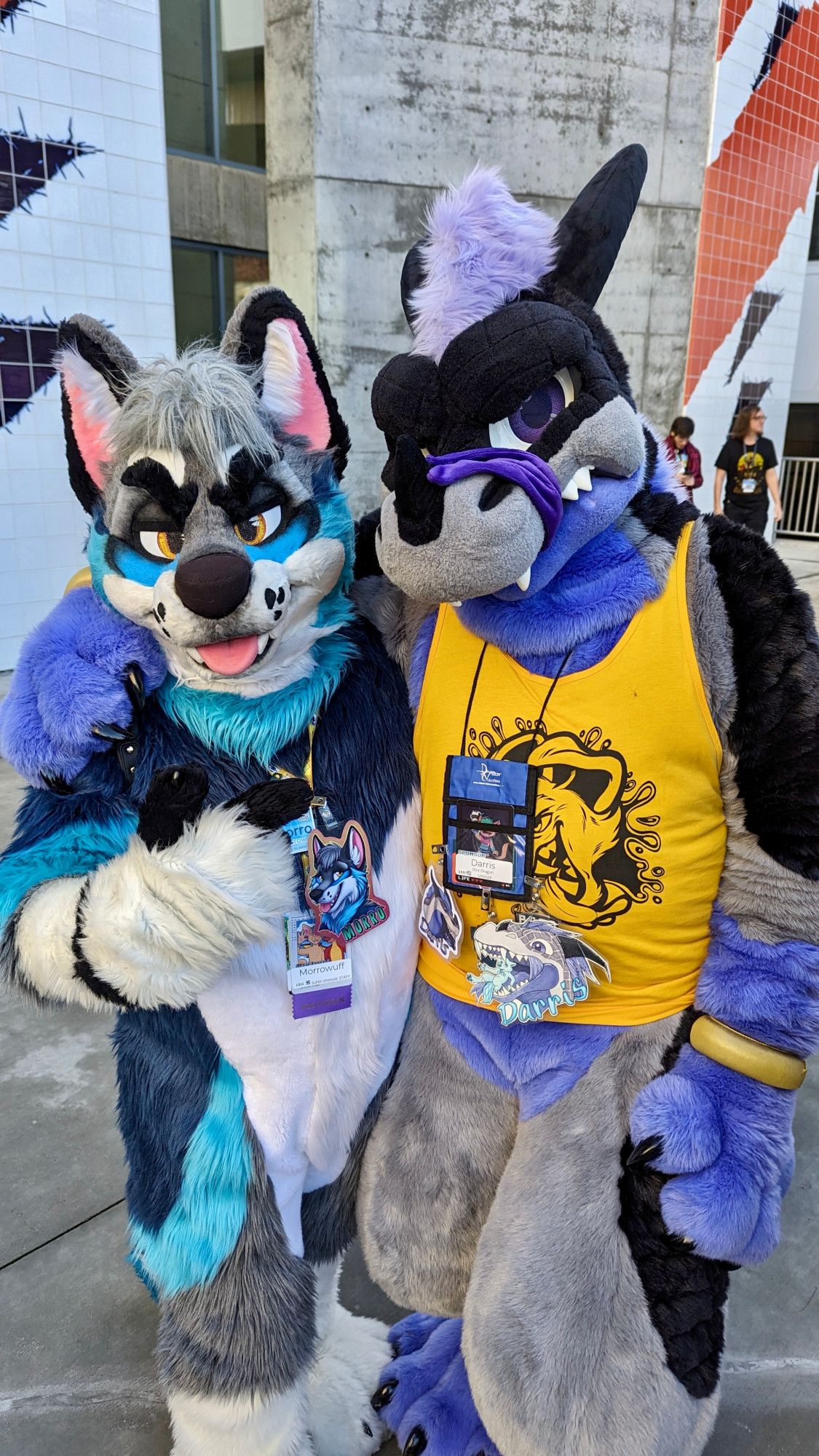 Outside setting. Photo of Morro (blue, white, and gray canine fursuiter) and Darris (gray, black and purple dragon fursuiter) standing side by side.