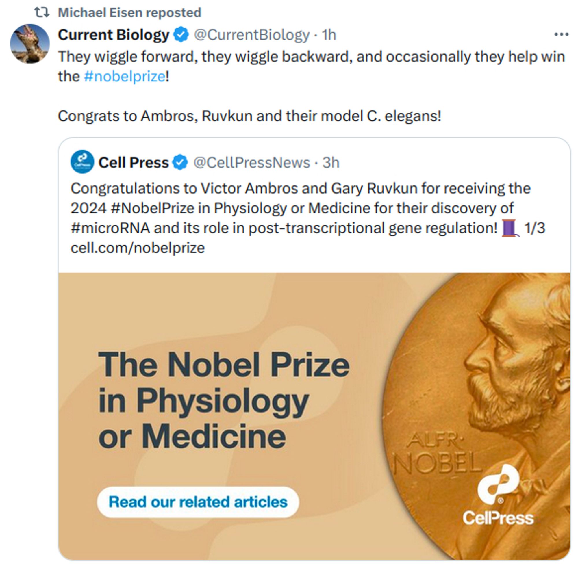 They wiggle forward, they wiggle backward, and occasionally they help win the #nobelprize!

Congrats to Ambros, Ruvkun and their model C. elegans!