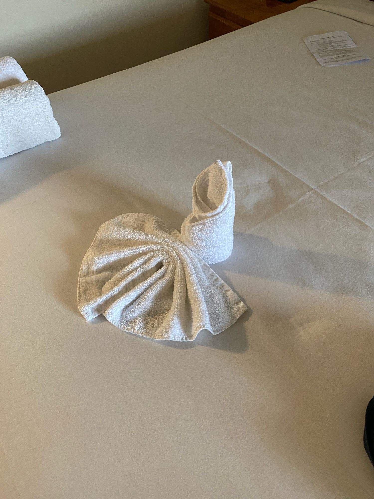 Towels on a hotel bed shaped like a penis. Or maybe I’ve just been away too long.