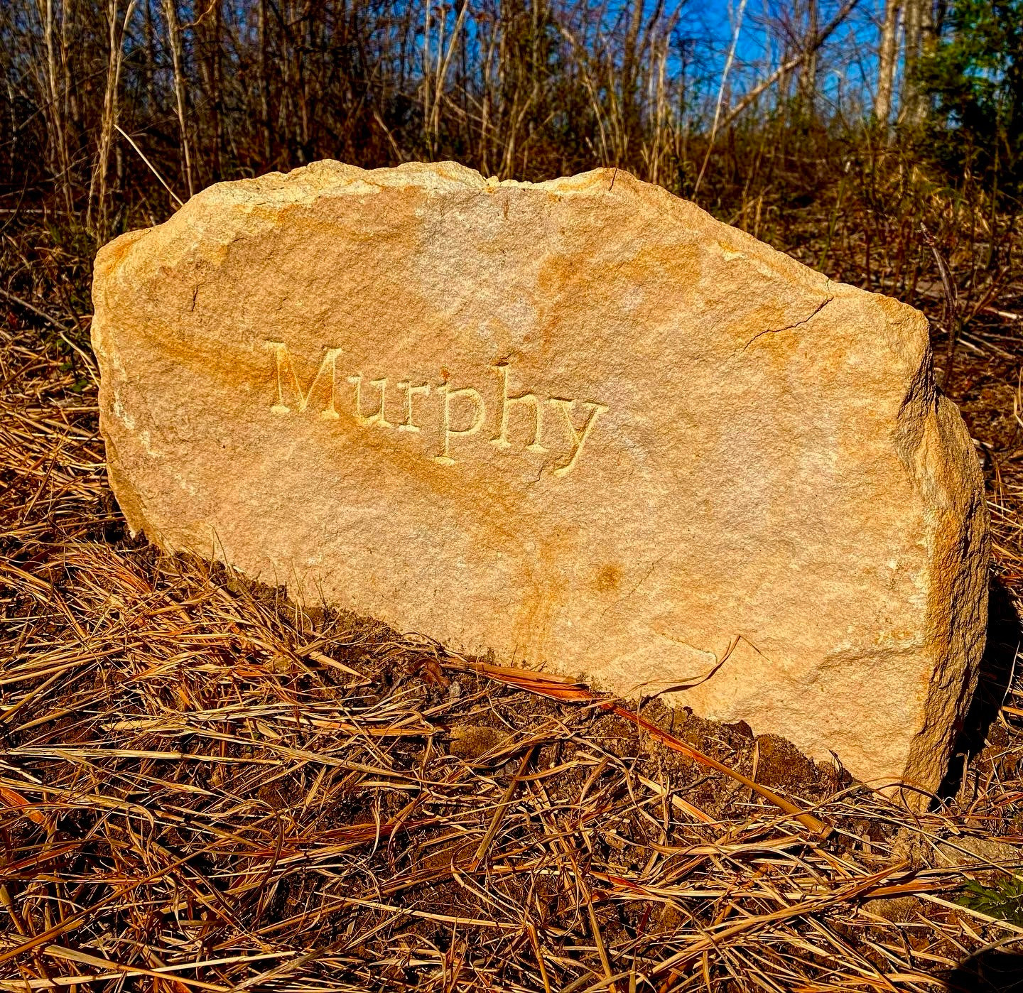 headstone with the name Murphy carved in it