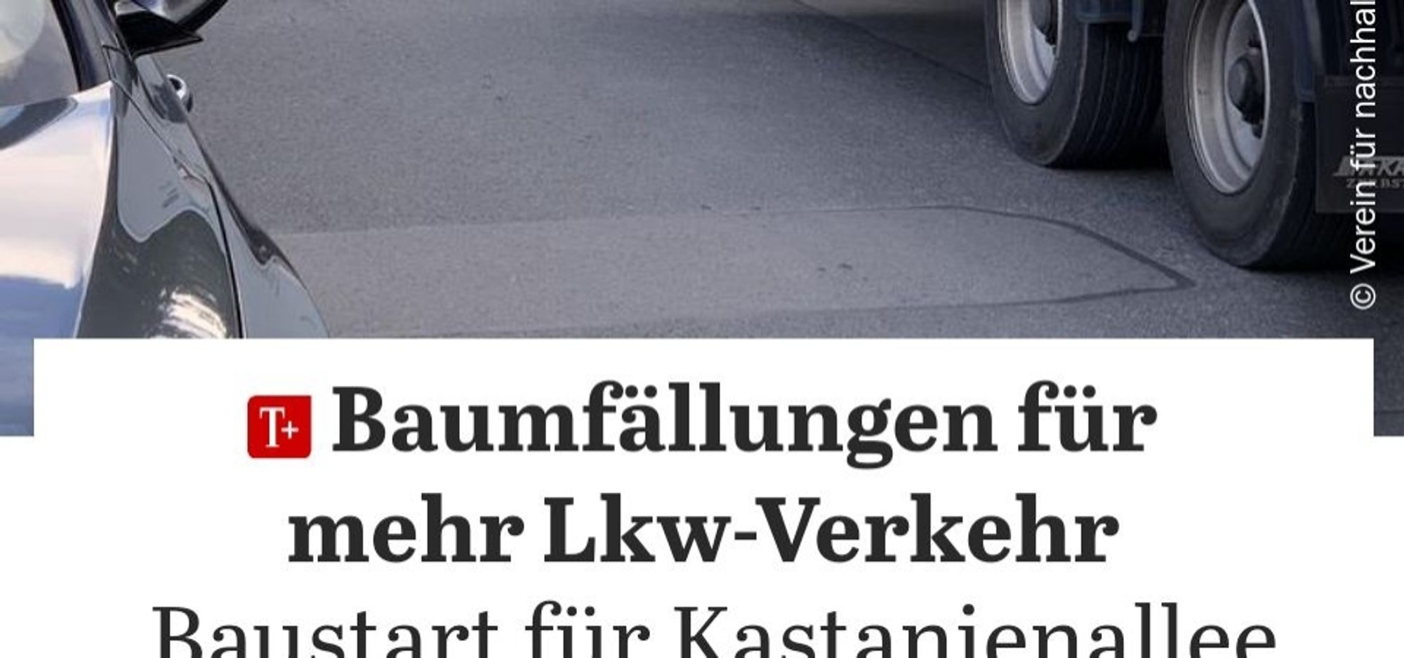 Baumfällungen für mehr Lkw Verkehr (geht um 40+ alte Bäume Kastanienallee Pankow)