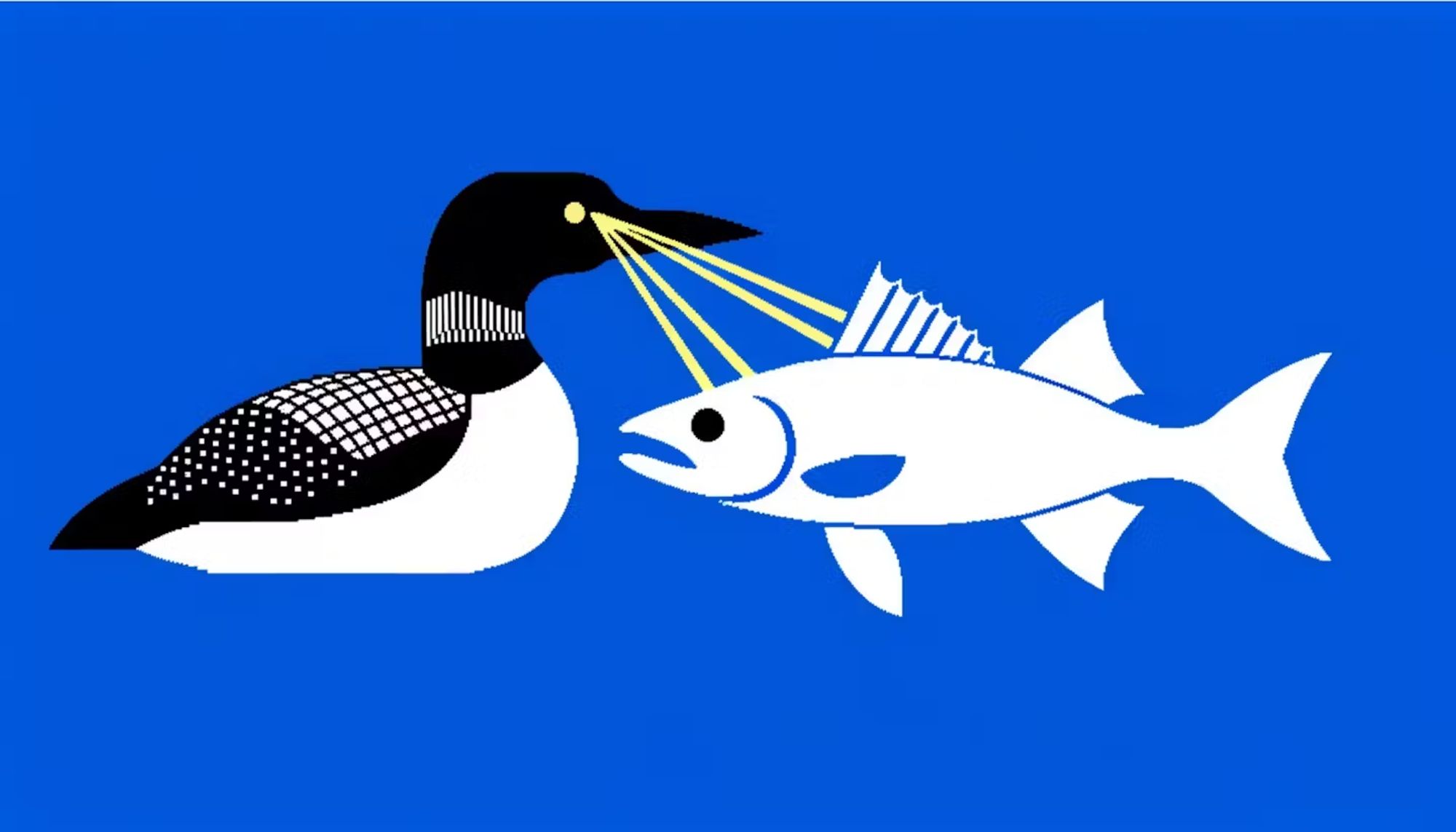 The "Laser Loon" flag that was submitted as a possible new flag for the state of Minnesota, depicting a loon firing 4 laser beams from an eye to fry? slice? something? a fish