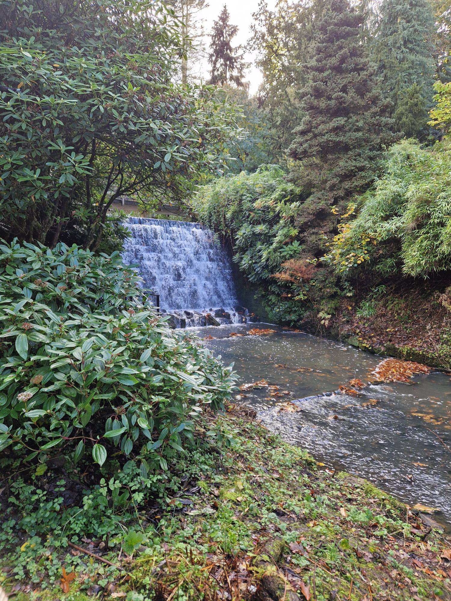 A flowing waterfall in a peaceful leafy background