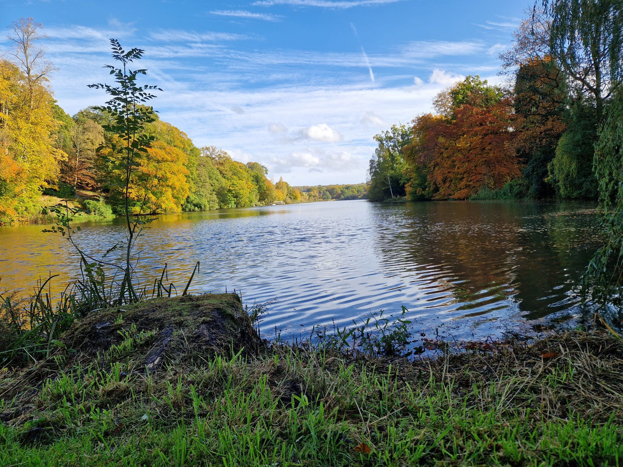 A beautiful still lake with trees all around 