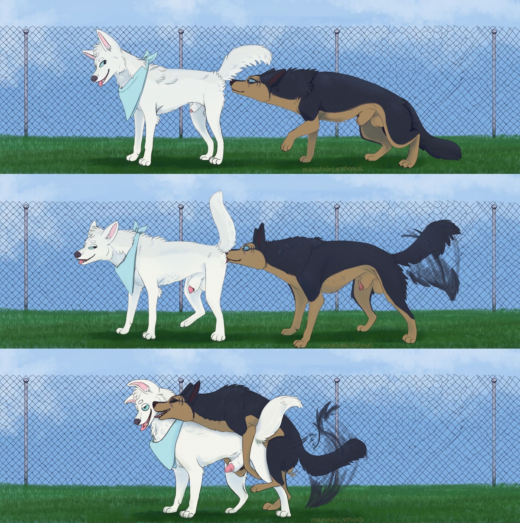 Comic of two feral canines having gay doggy sex. Scruffy politely raises his tail as Rigel comes in for a sniff. She stands up straighter with excitement and begins to wag as she licks his anus; he lifts his tail and squats slightly and they both grow erect. In the bottom panel, they're fucking.