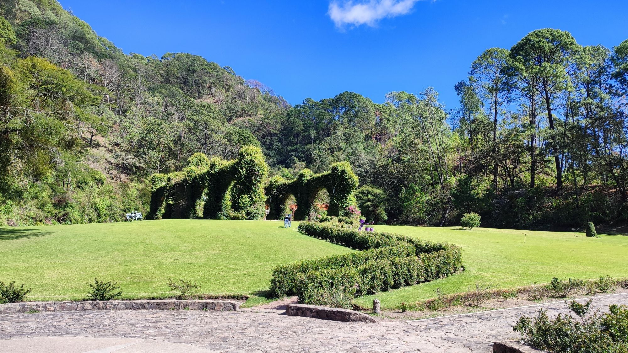 A peaceful garden with arcs full of vines. Trees in the background.