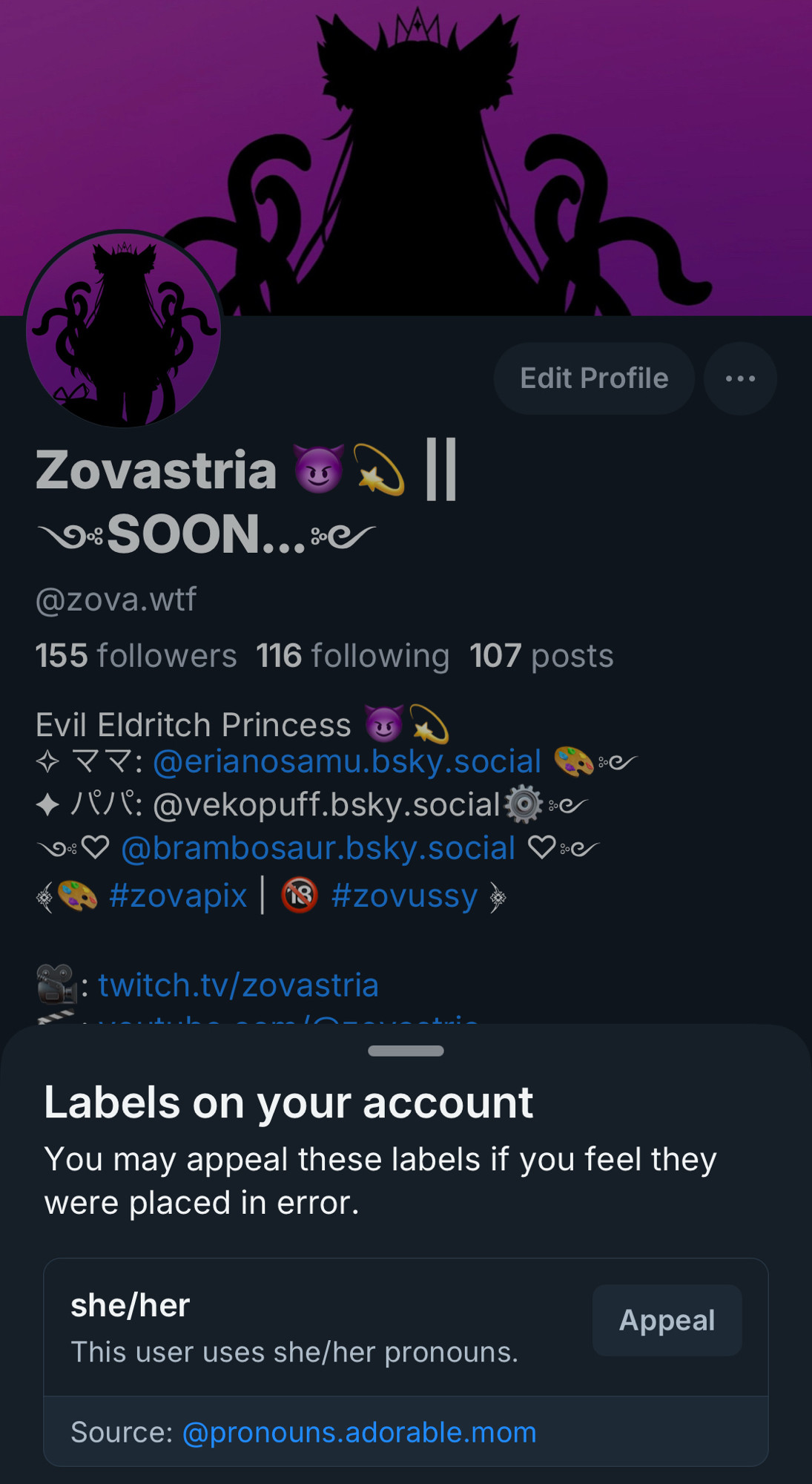 Zovastria profile screenshot with 155 followers, showing the pronouns label feature