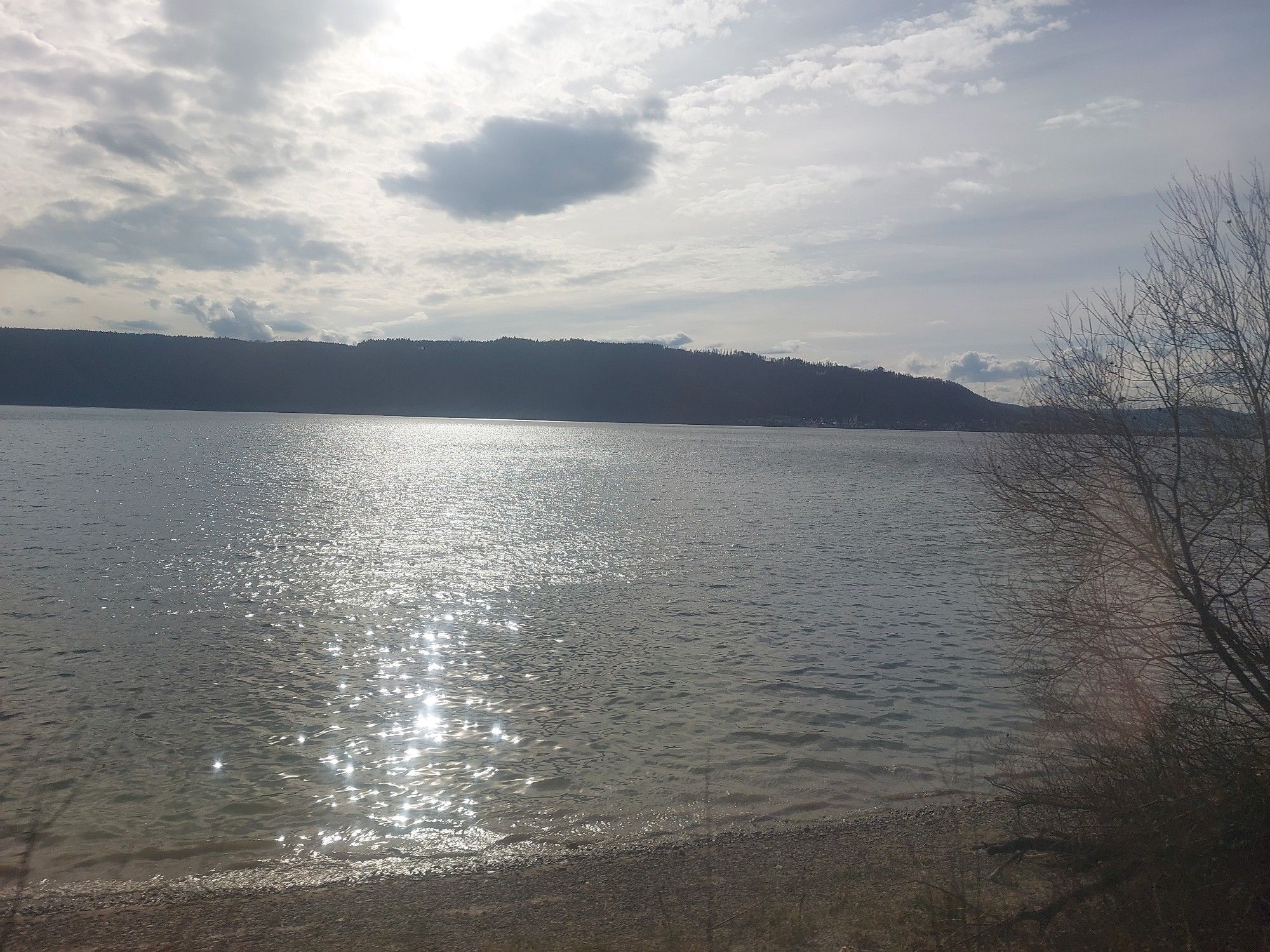 Der Bodensee: Himmel, Berge, Wasser, Baum.