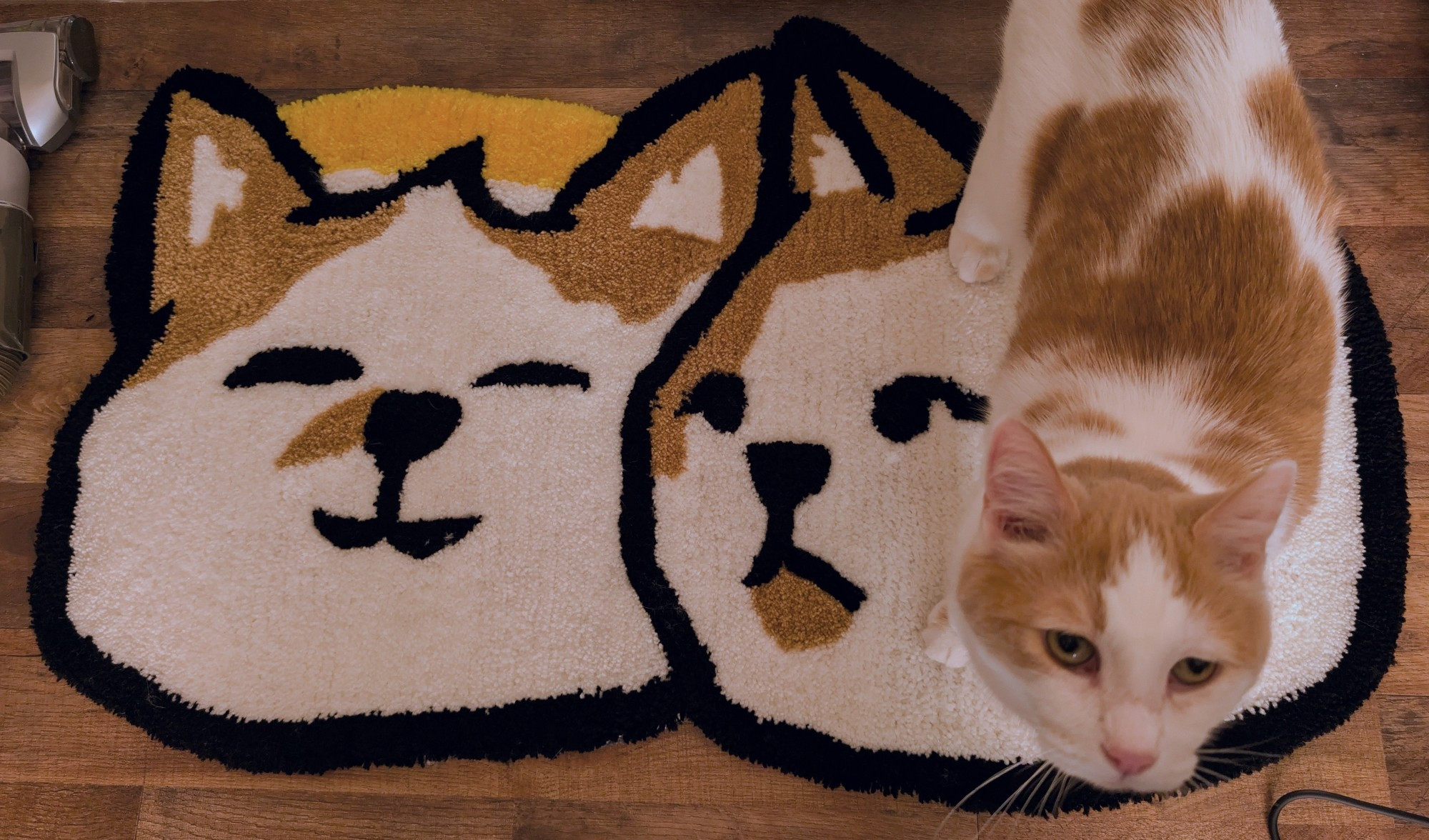 White and tan cat looking up at camera while standing atop rug with image of two cats depicting likeness.